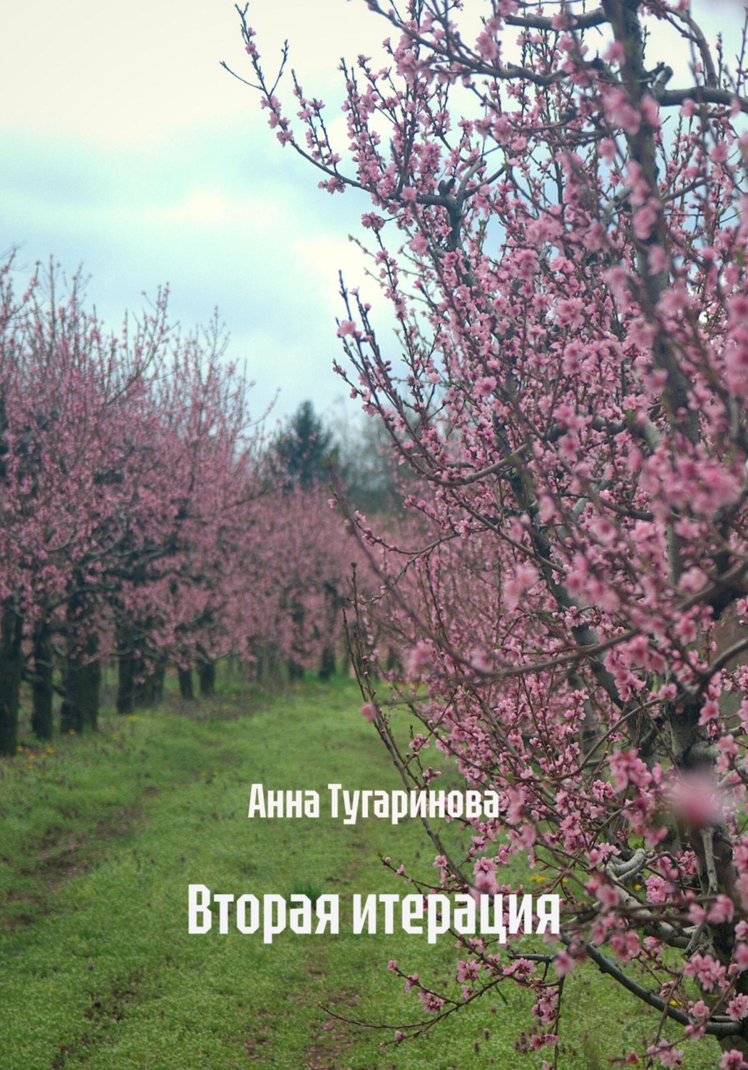 Обложка книги «Вторая итерация»