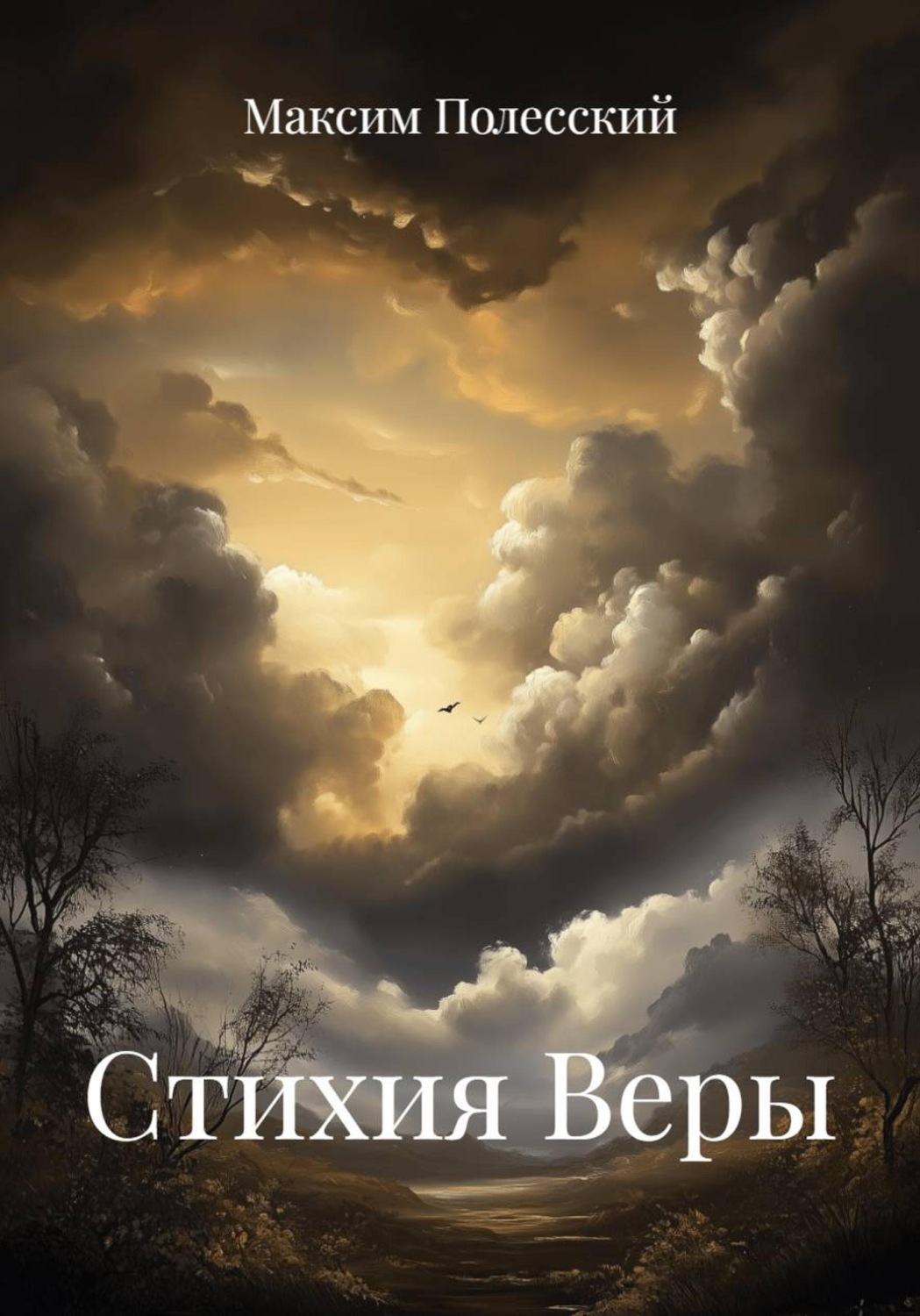 Обложка книги «Стихия Веры»
