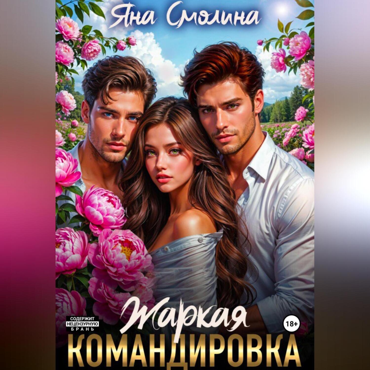Обложка книги «Жаркая командировка»