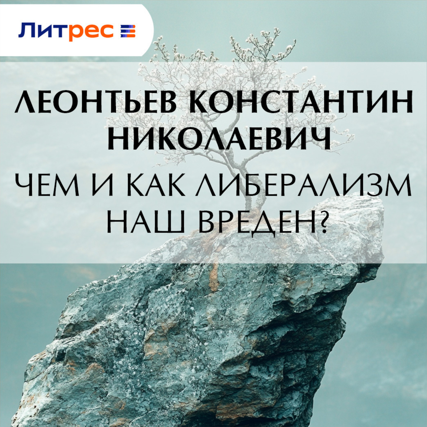 Обложка книги «Чем и как либерализм наш вреден?»