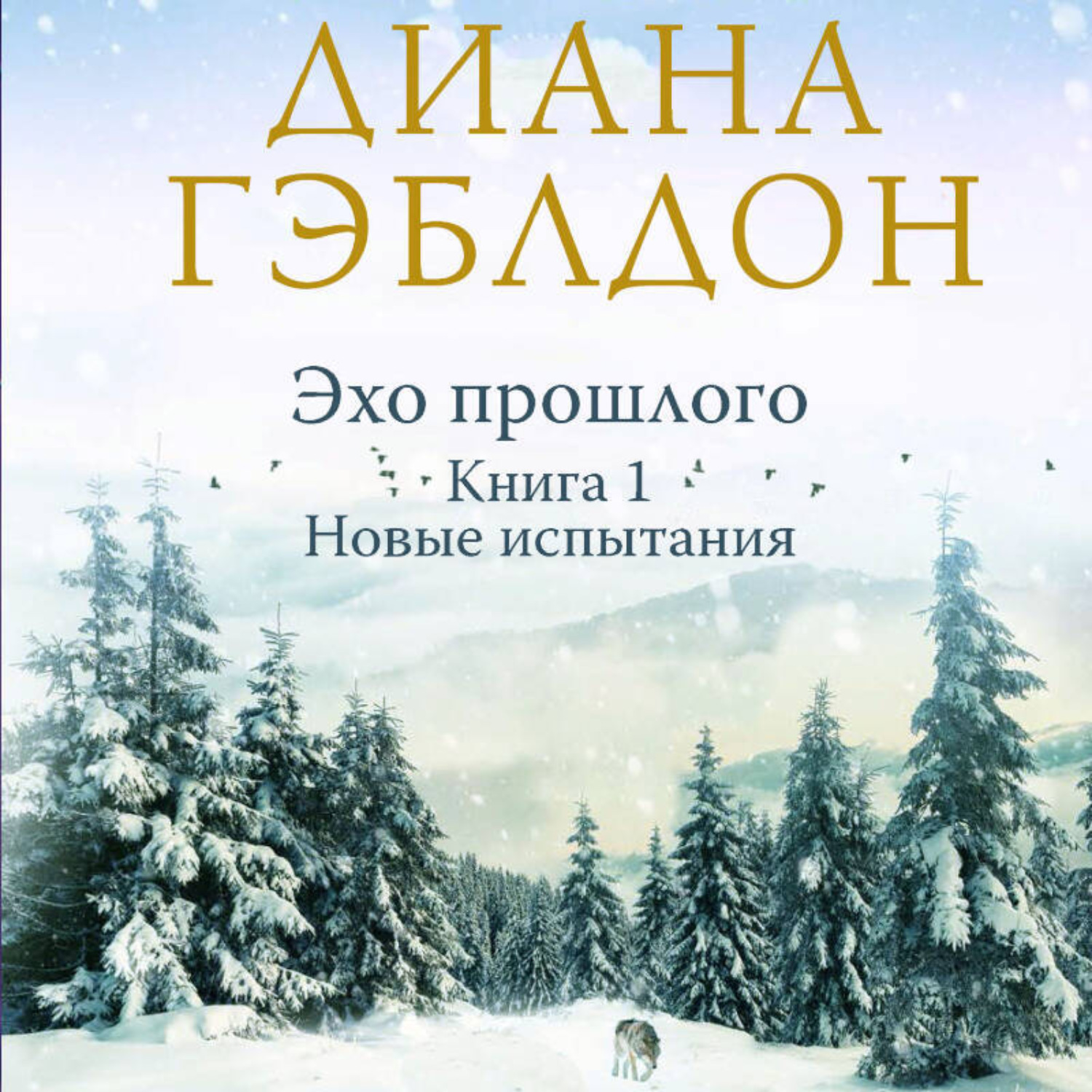 Обложка книги «Эхо прошлого. Книга 1. Новые испытания»