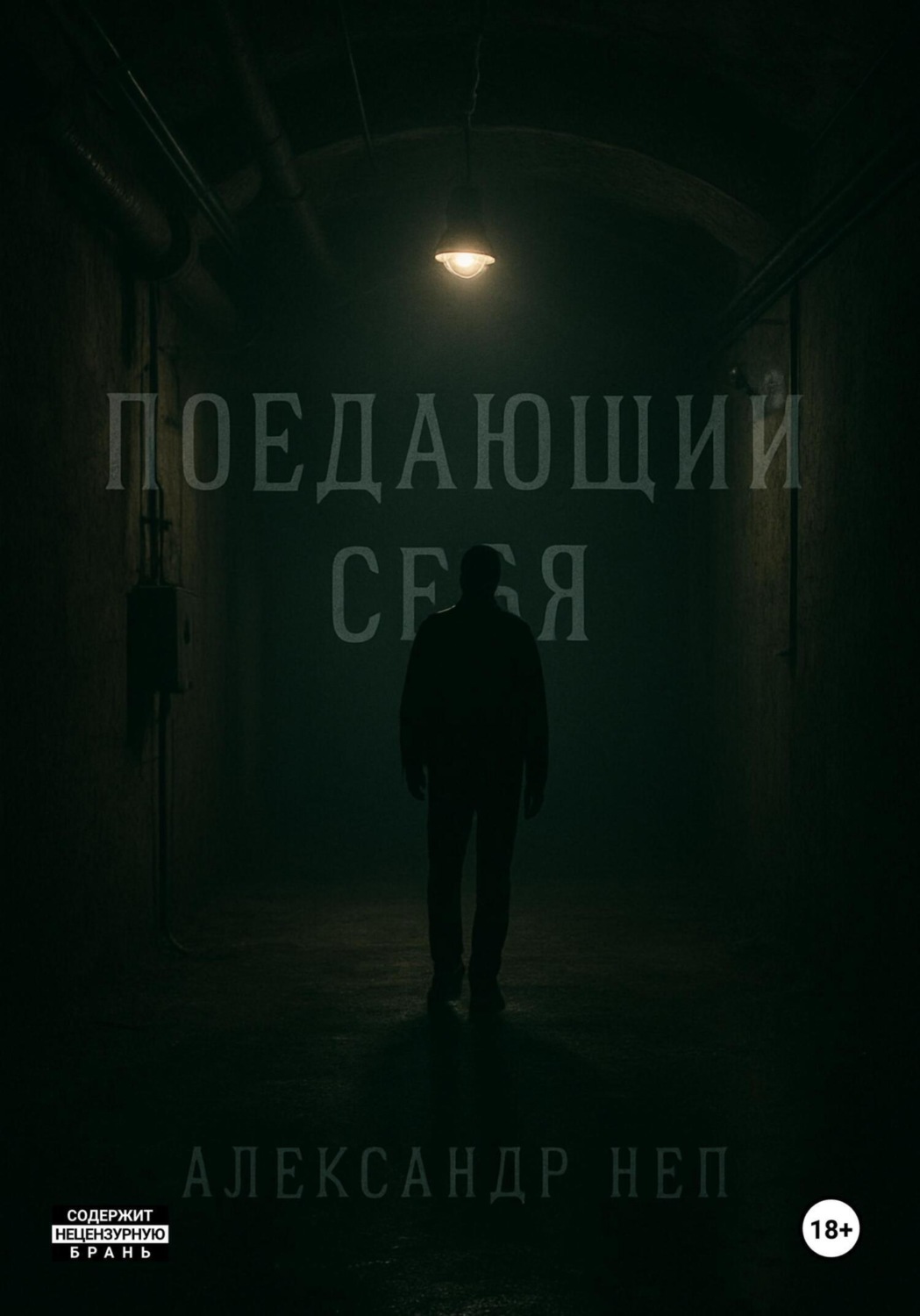 Обложка книги «Поедающий себя»