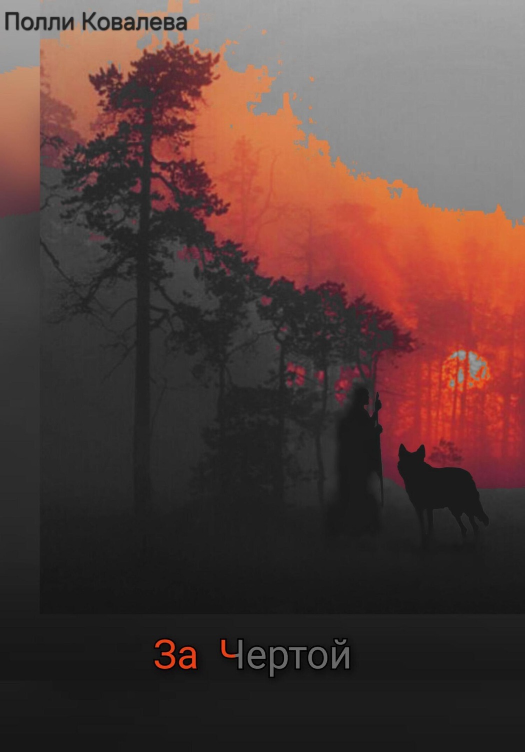 Обложка книги «За чертой»