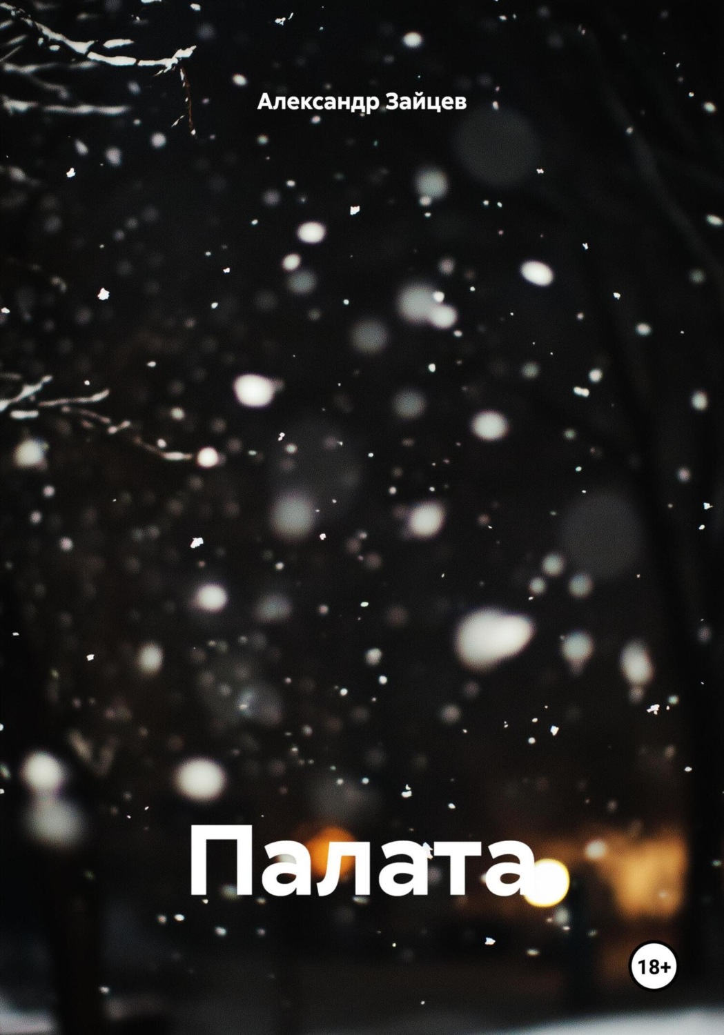 Обложка книги «Палата»
