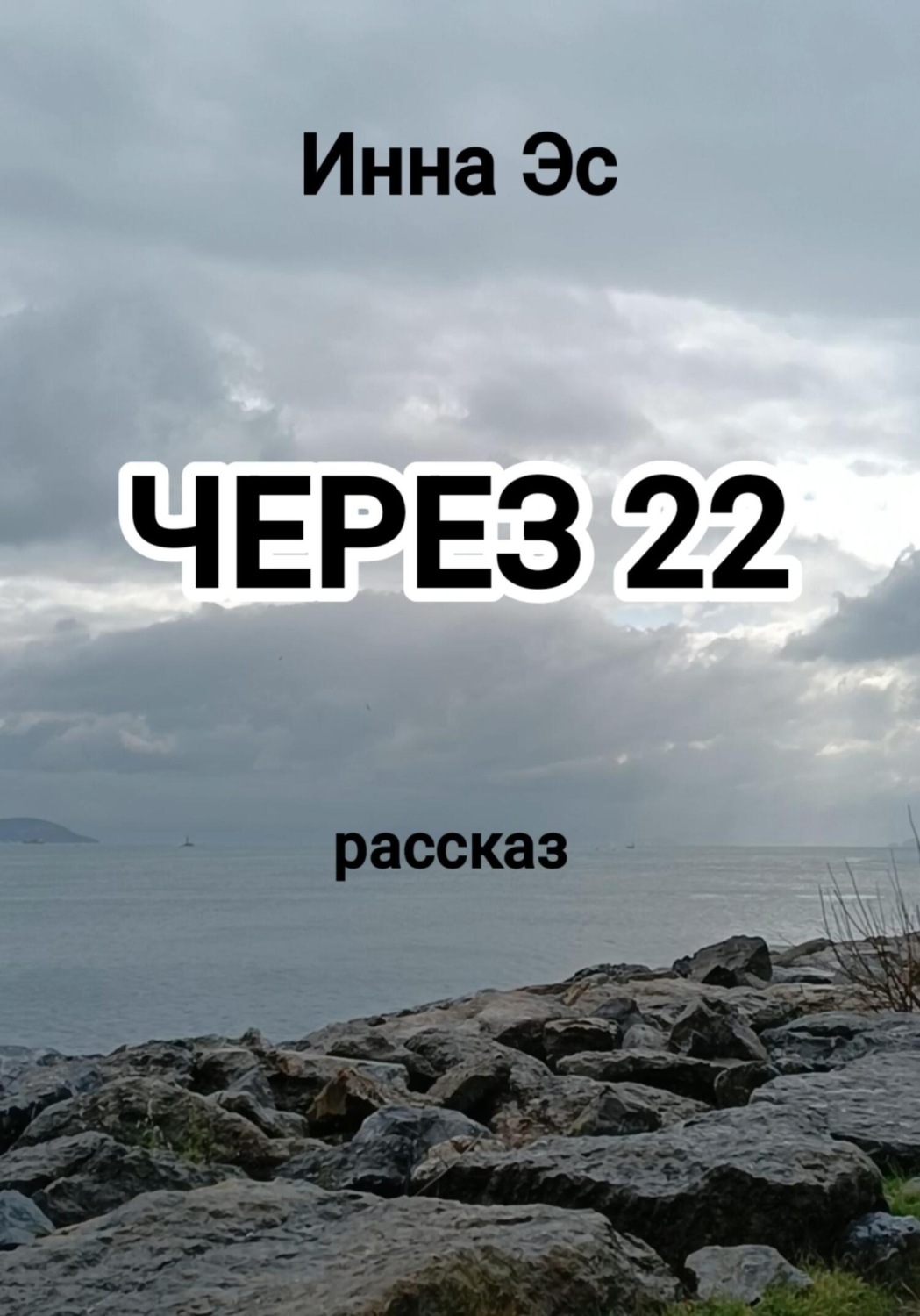 Обложка книги «Через 22»