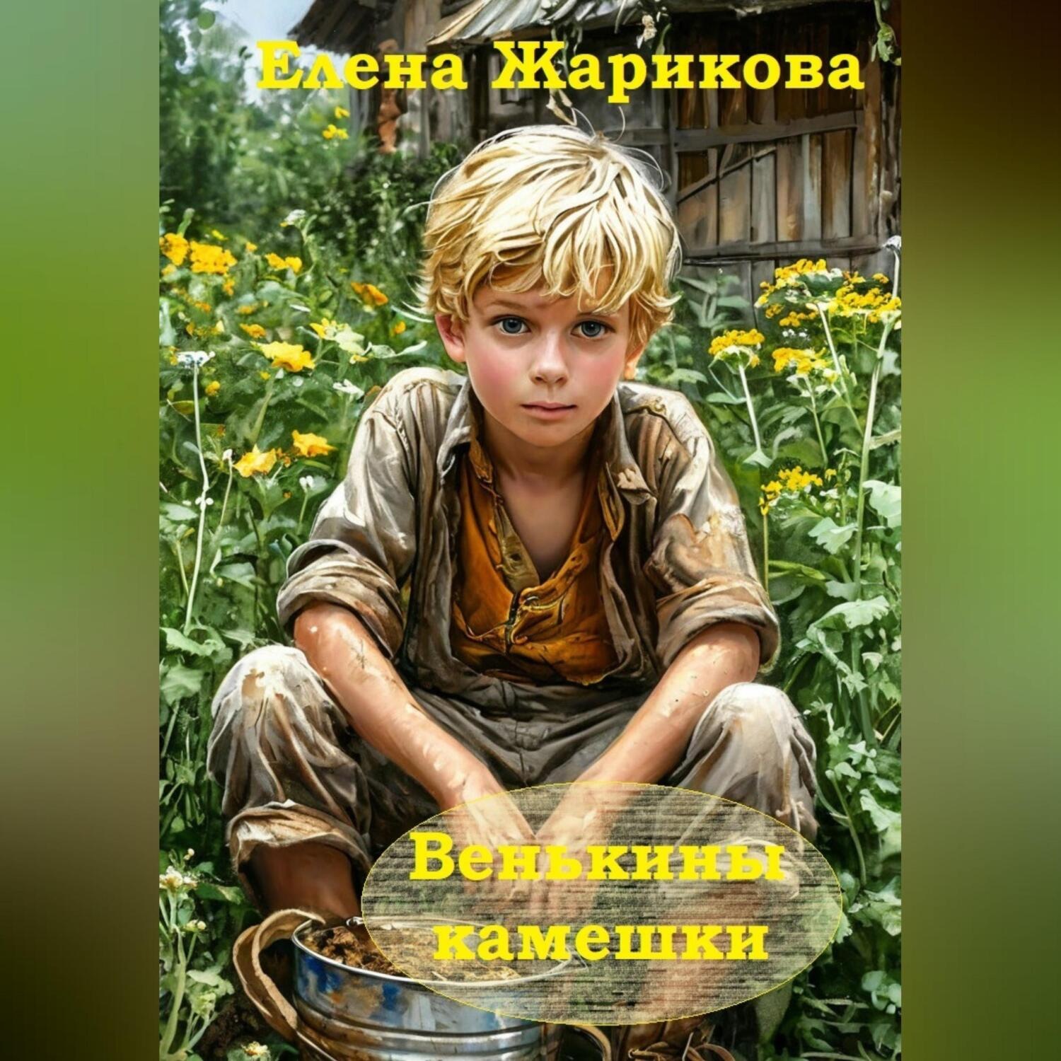 Обложка книги «Венькины камешки»