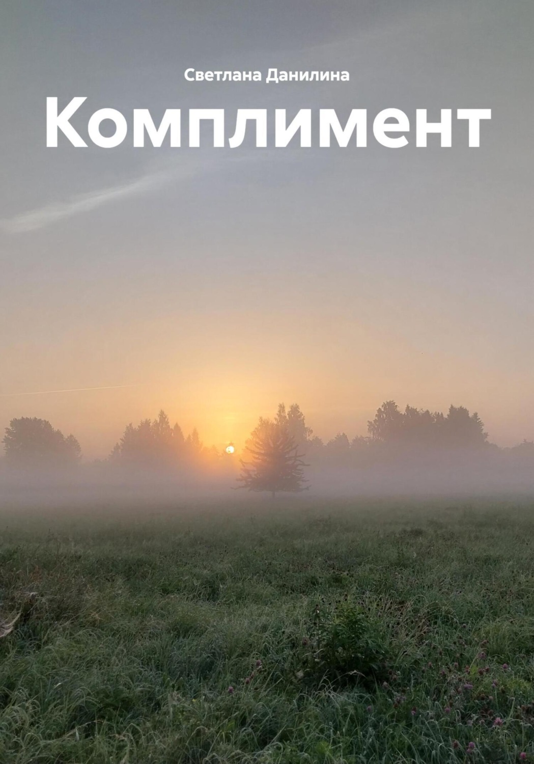 Обложка книги «Комплимент»