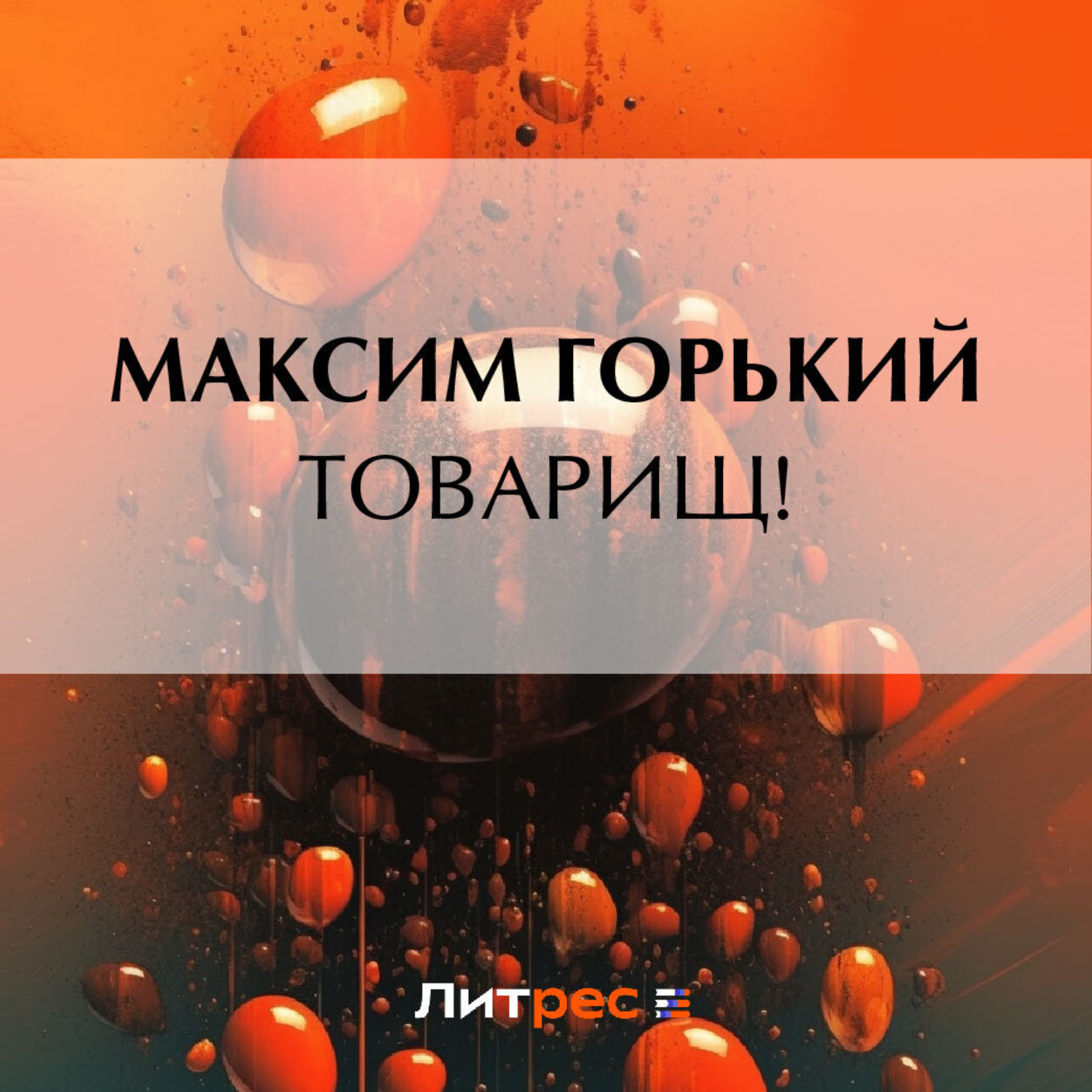 Обложка книги «Товарищ!»