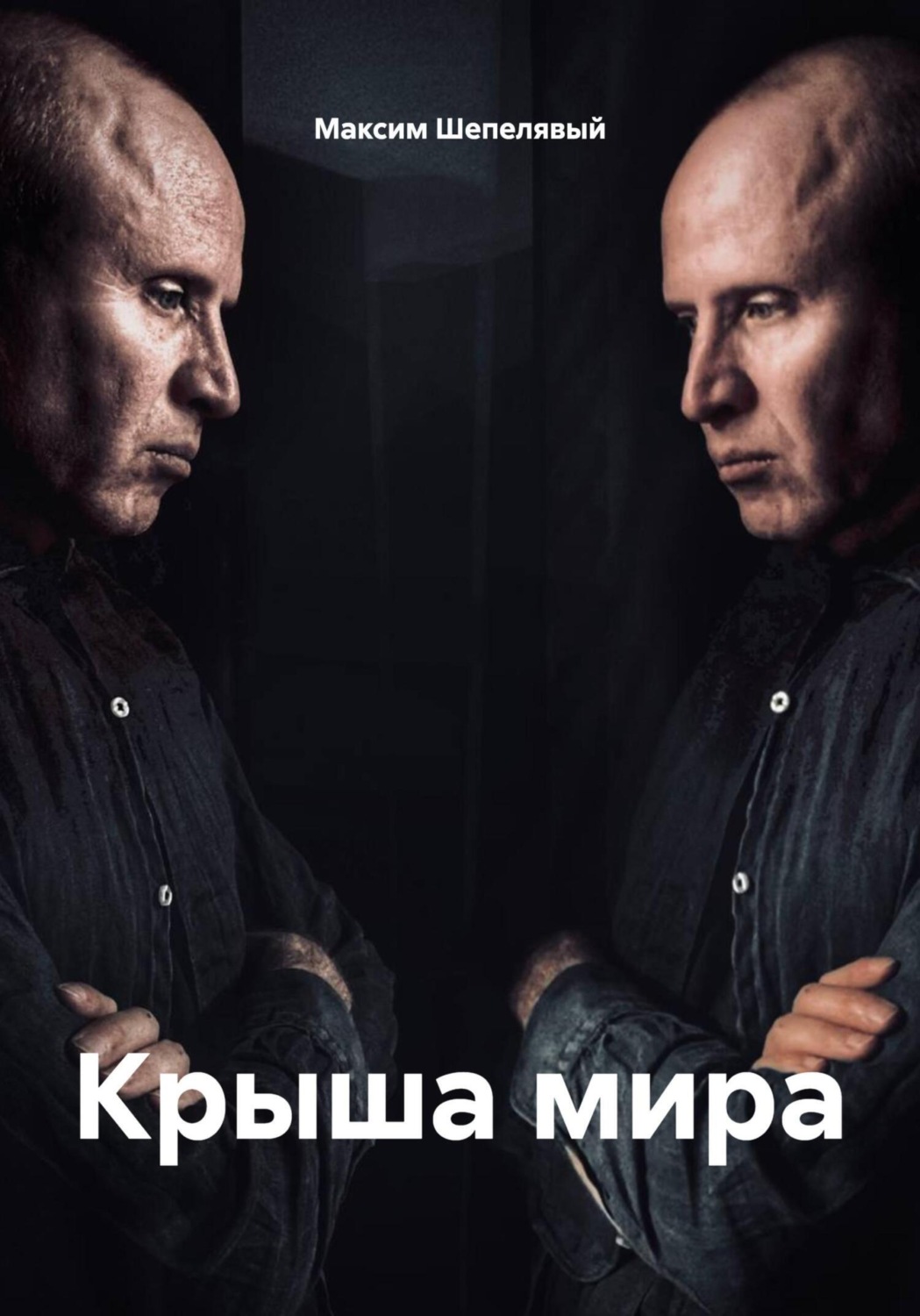 Обложка книги «Крыша мира»