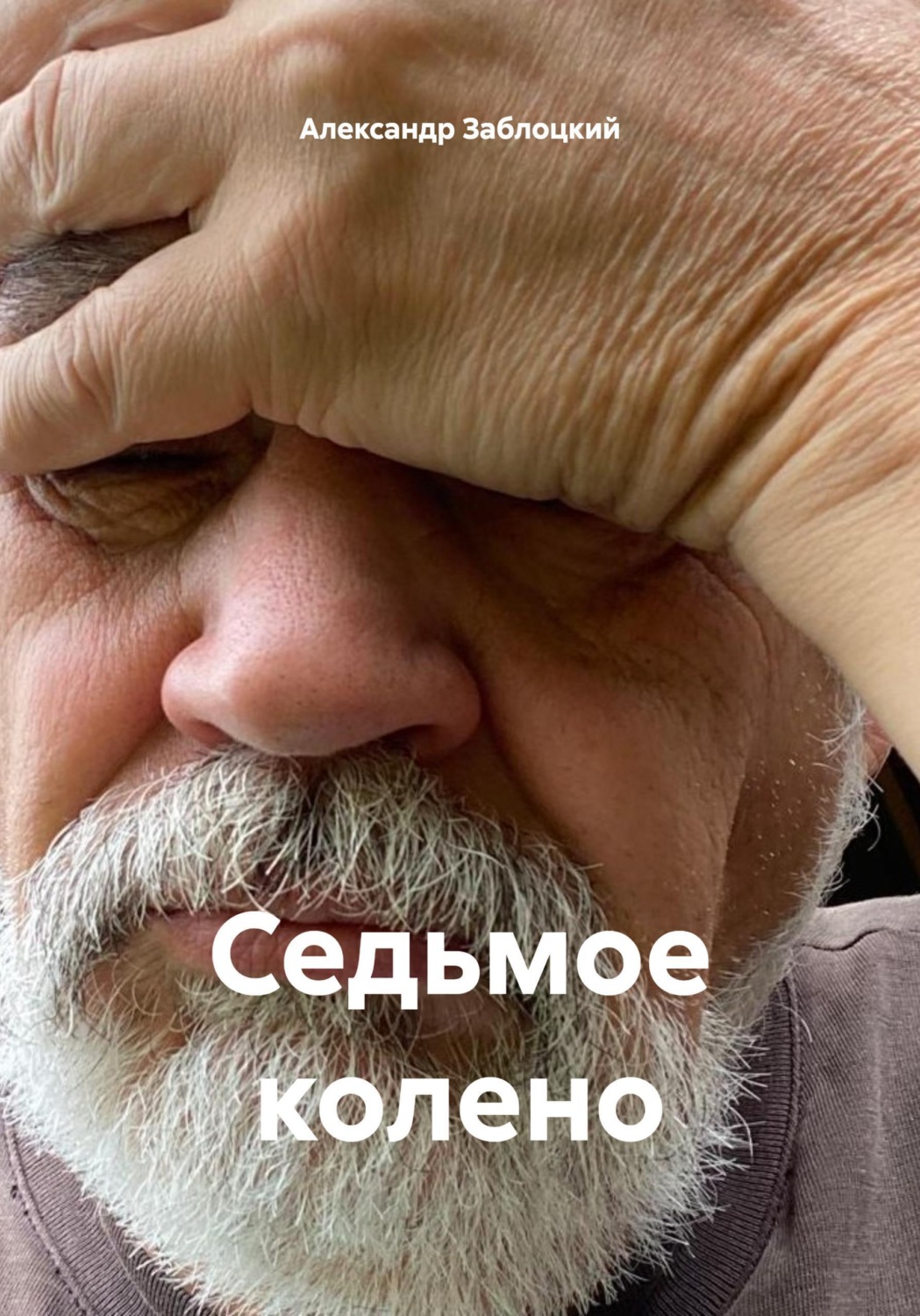 Обложка книги «Седьмое колено»