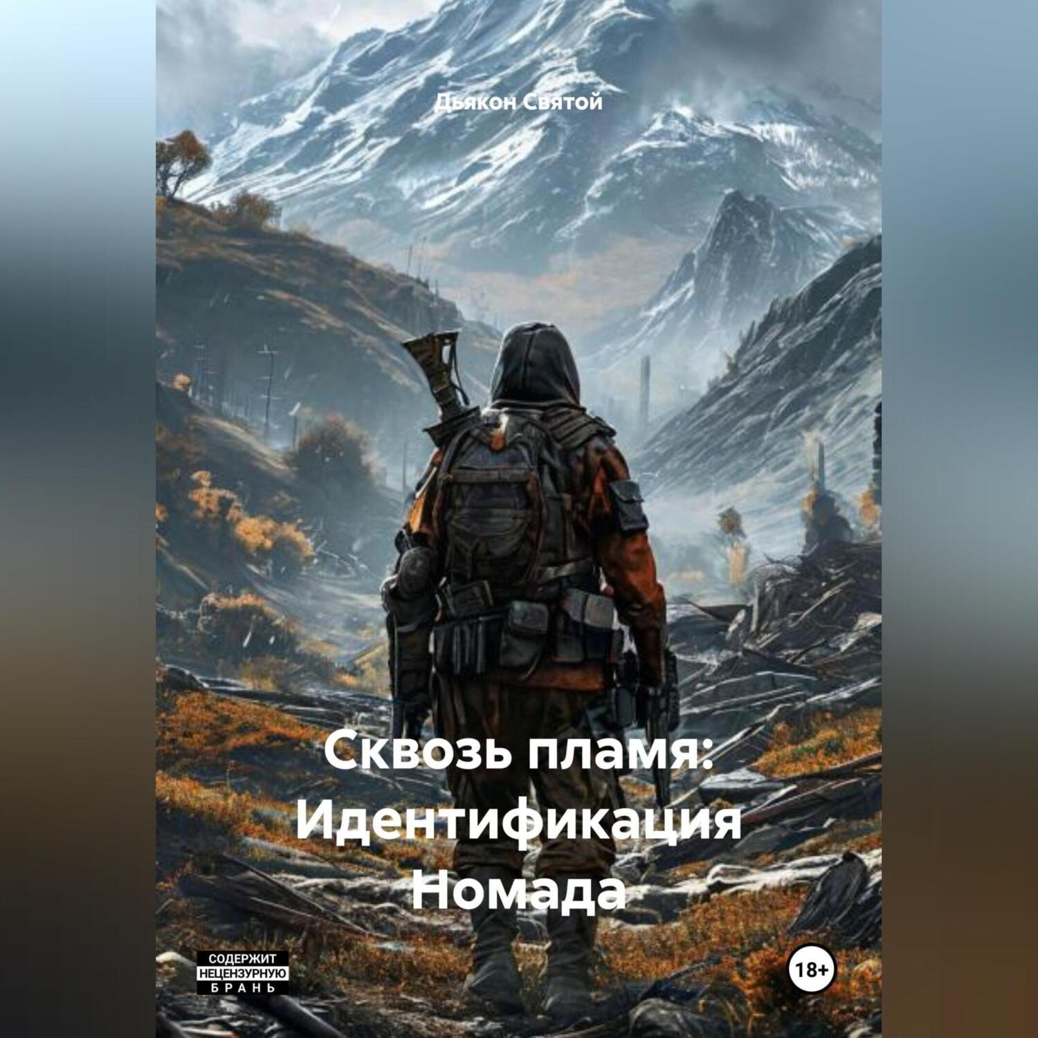 Обложка книги ««Сквозь пламя: Идентификация Номада»»
