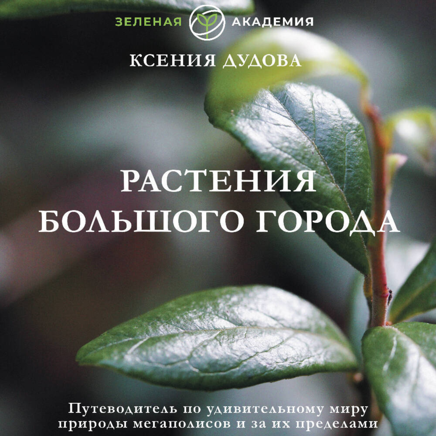 Обложка книги «Растения большого города. Путеводитель по удивительному миру природы мегаполисов и за их пределами»