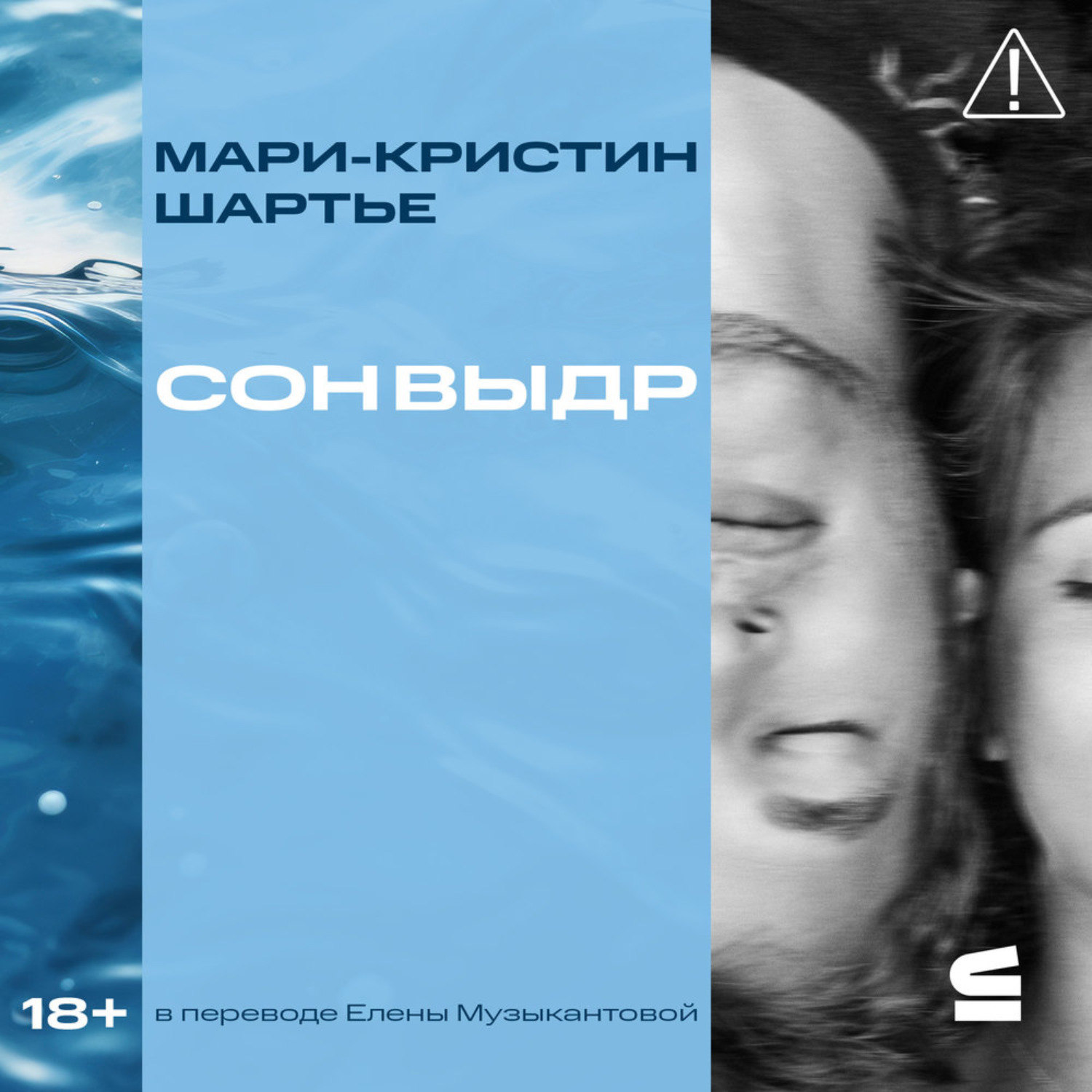 Обложка книги «Сон выдр»