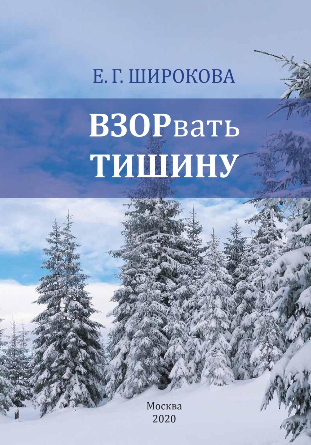 Обложка книги «Взорвать тишину»