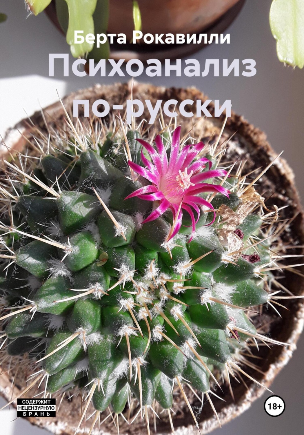 Обложка книги «Психоанализ по-русски»