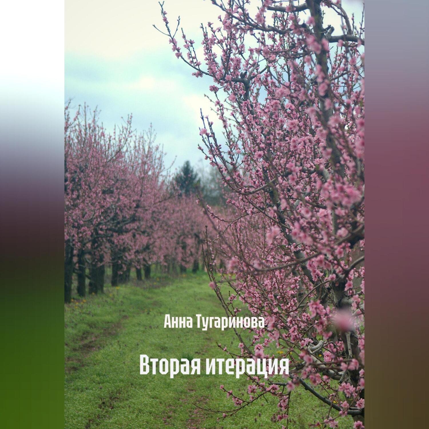 Обложка книги «Вторая итерация»