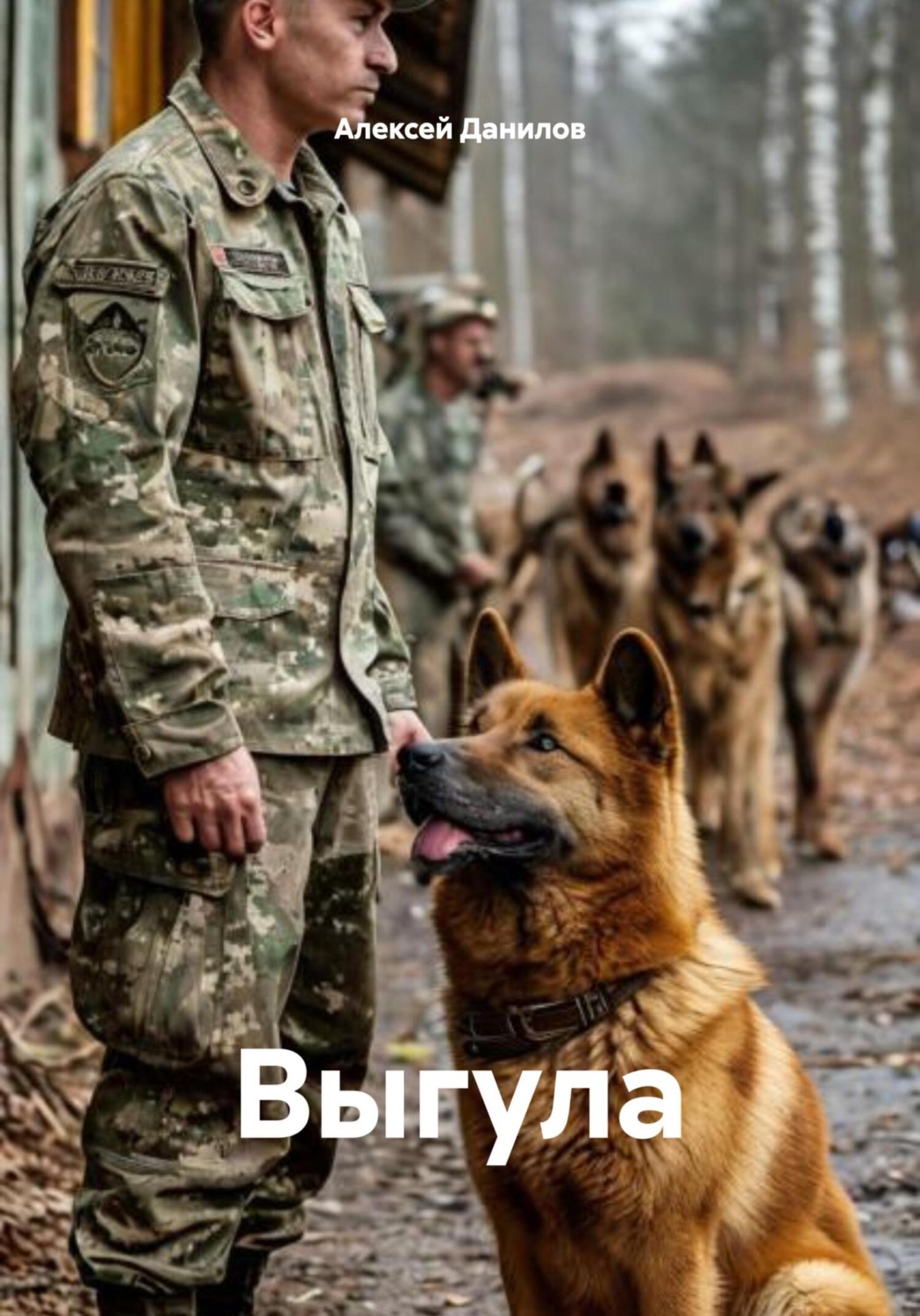 Обложка книги «Выгула»