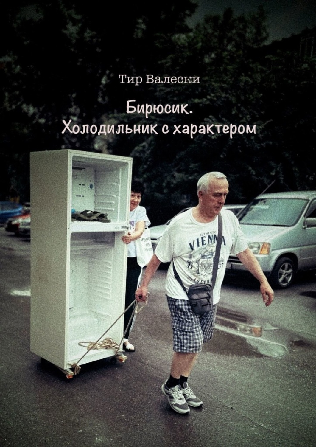 Обложка книги «Бирюсик. Холодильник с характером»