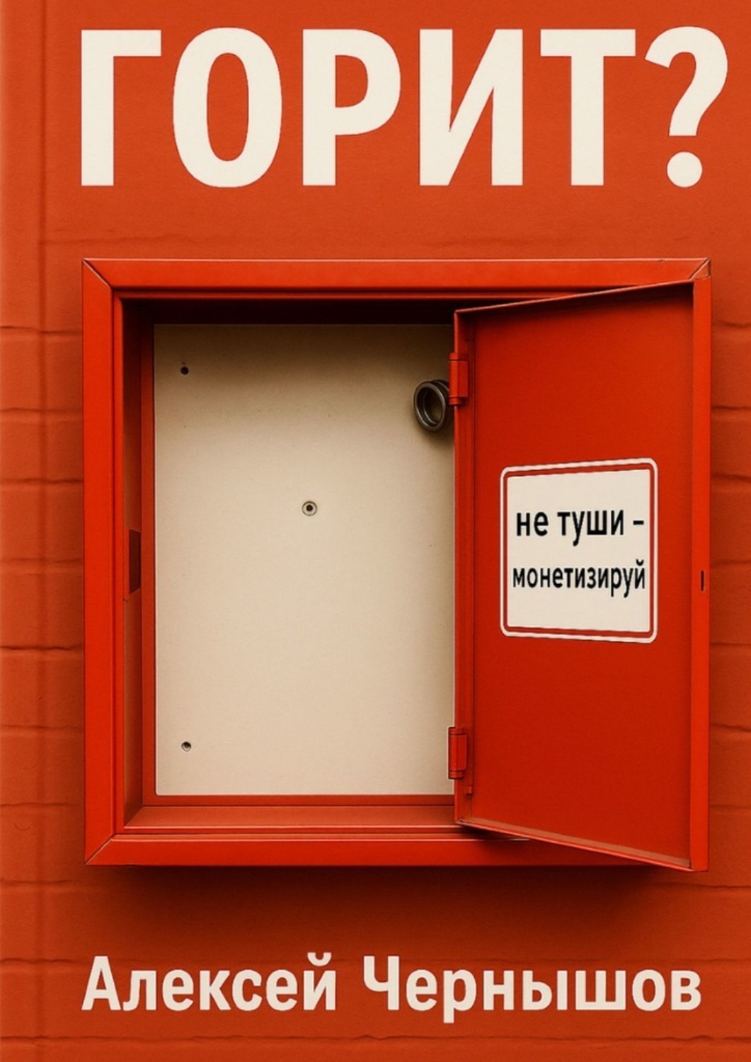 Обложка книги «Горит? Не туши – монетизируй. Антикризисный PR, когда всё летит в тартарары, а ты улыбаешься в камеру»