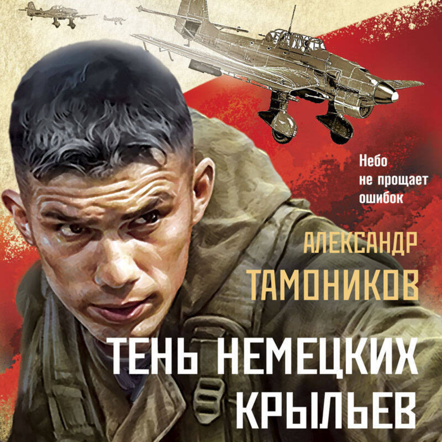 Обложка книги «Тень немецких крыльев»