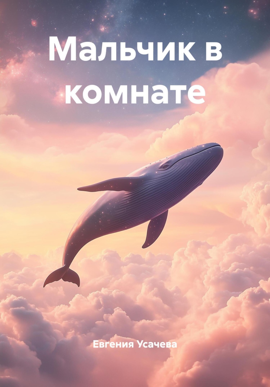 Обложка книги «Мальчик в комнате»