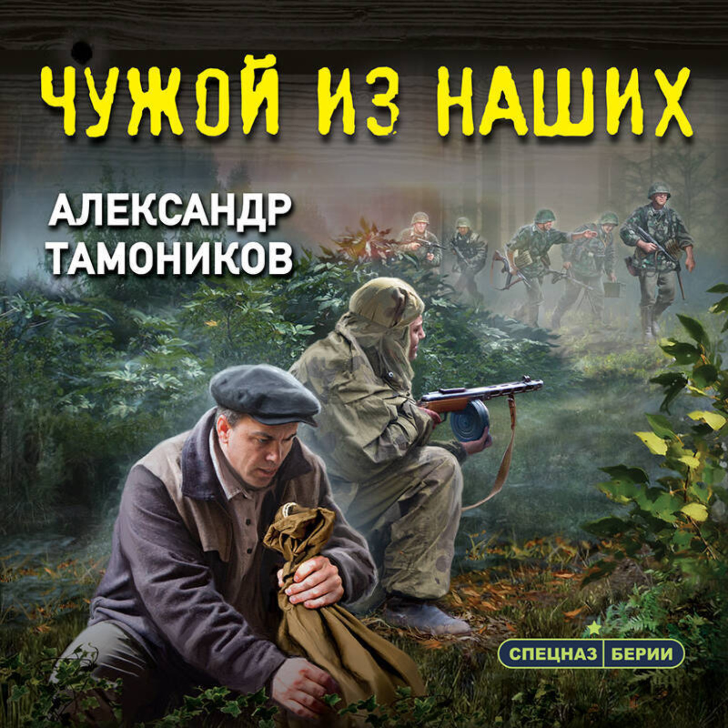 Обложка книги «Чужой из наших»