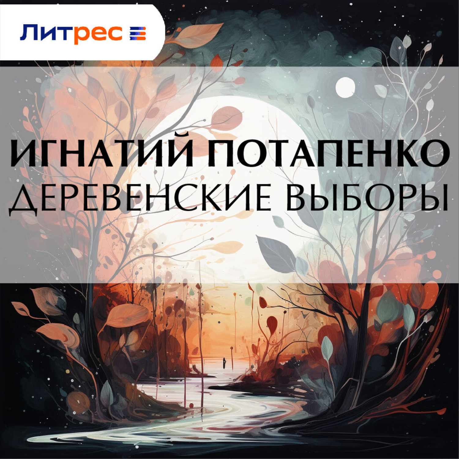 Обложка книги «Деревенские выборы»
