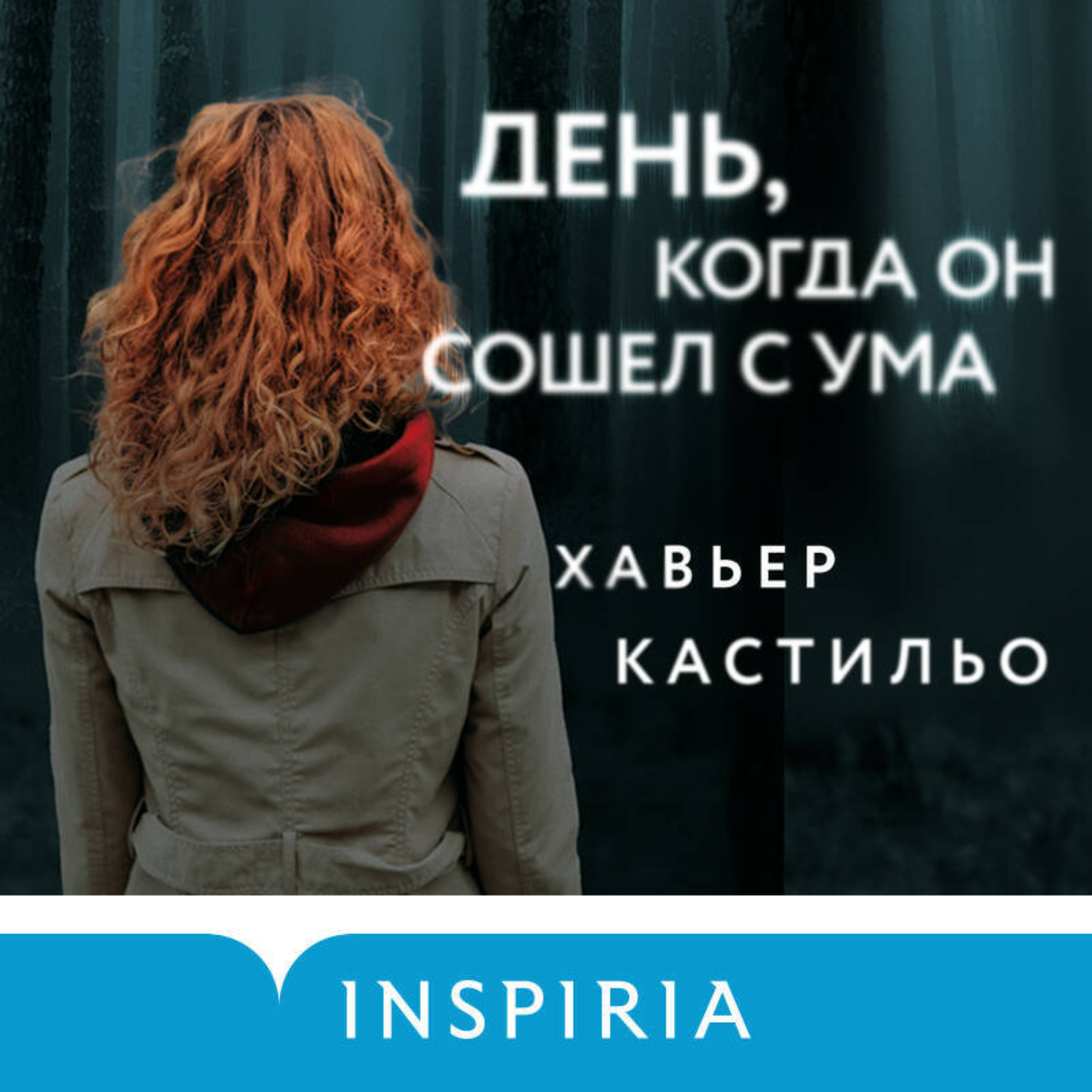 Обложка книги «День, когда он сошел с ума»