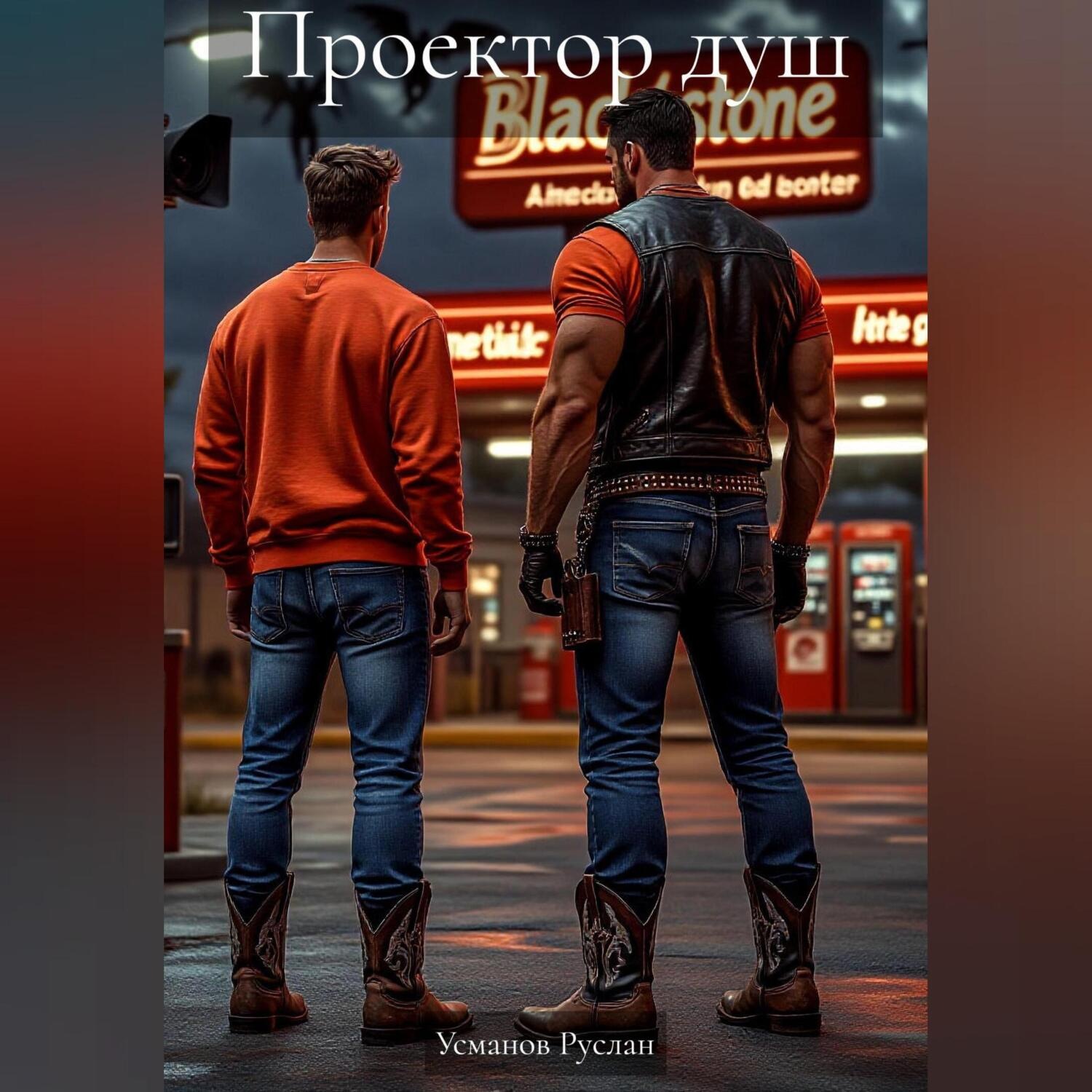 Обложка книги «Проектор душ»