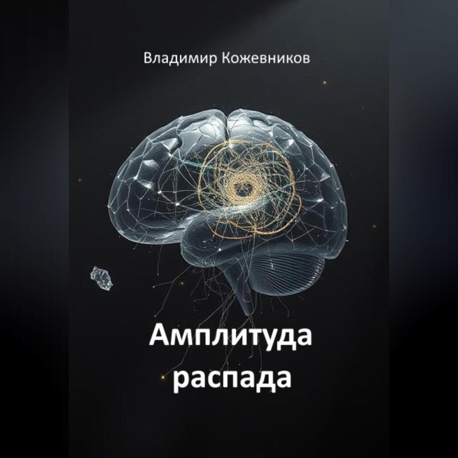 Обложка книги «Амплитуда распада»