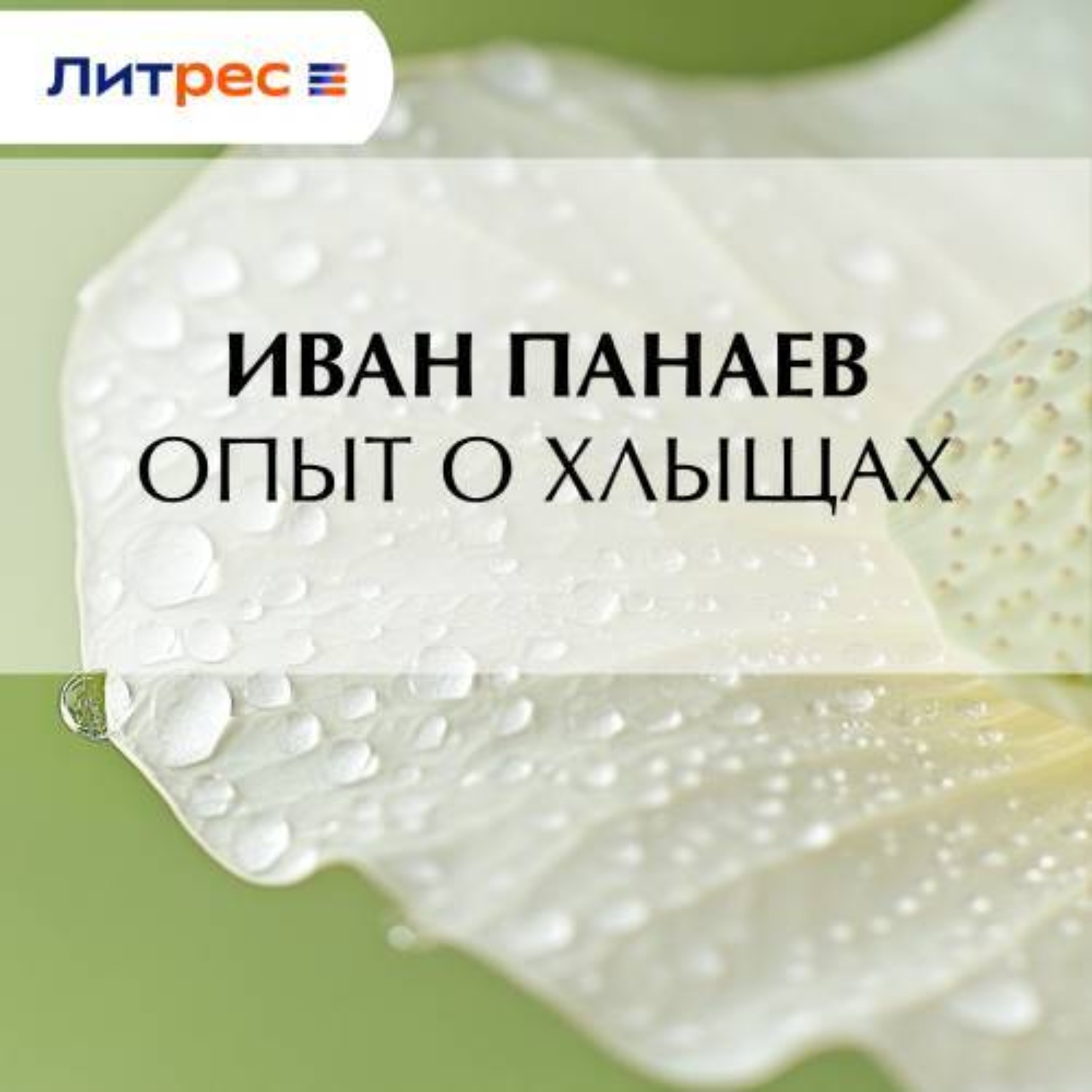 Обложка книги «Опыт о хлыщах»