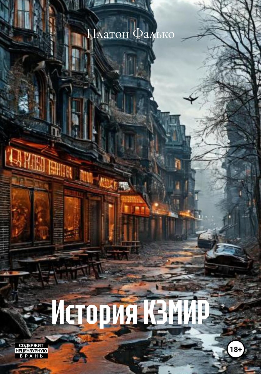 Обложка книги «История КЗМИР»