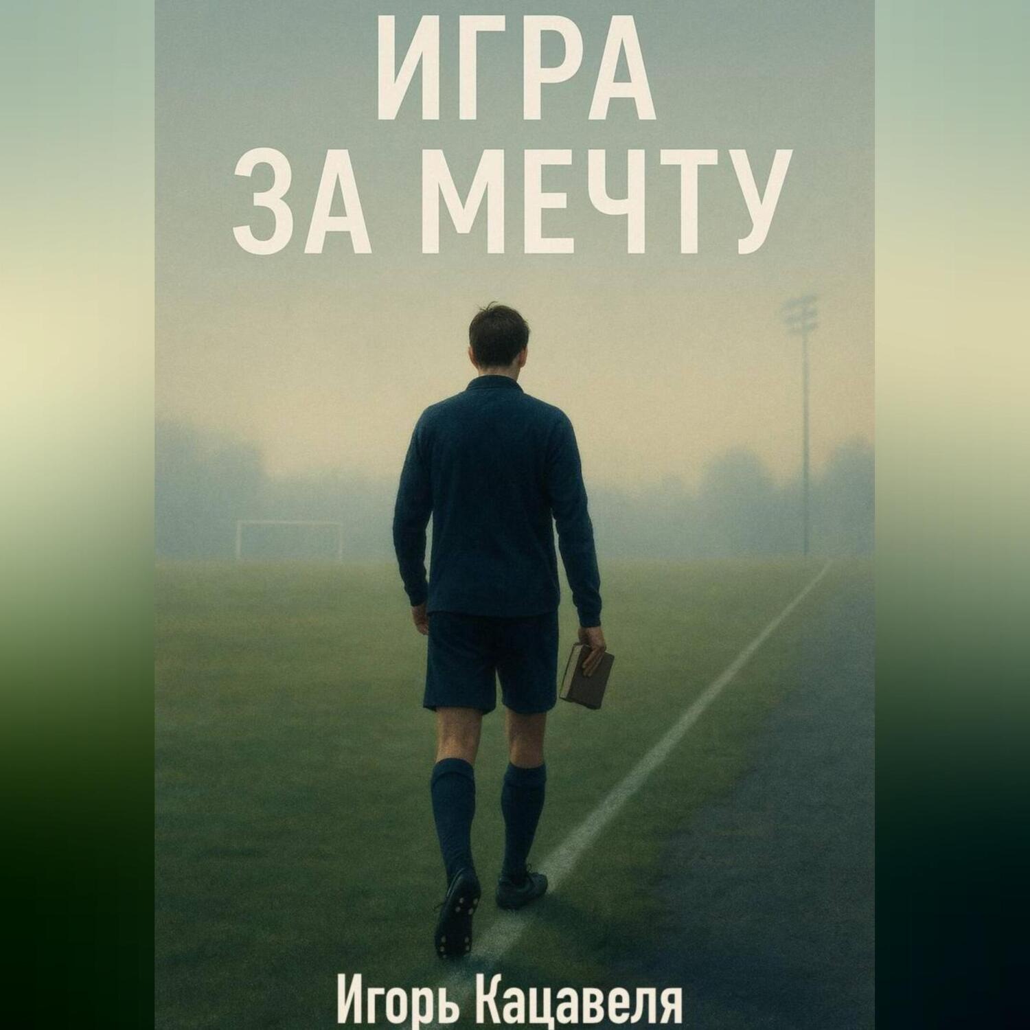Обложка книги «Игра за Мечту»