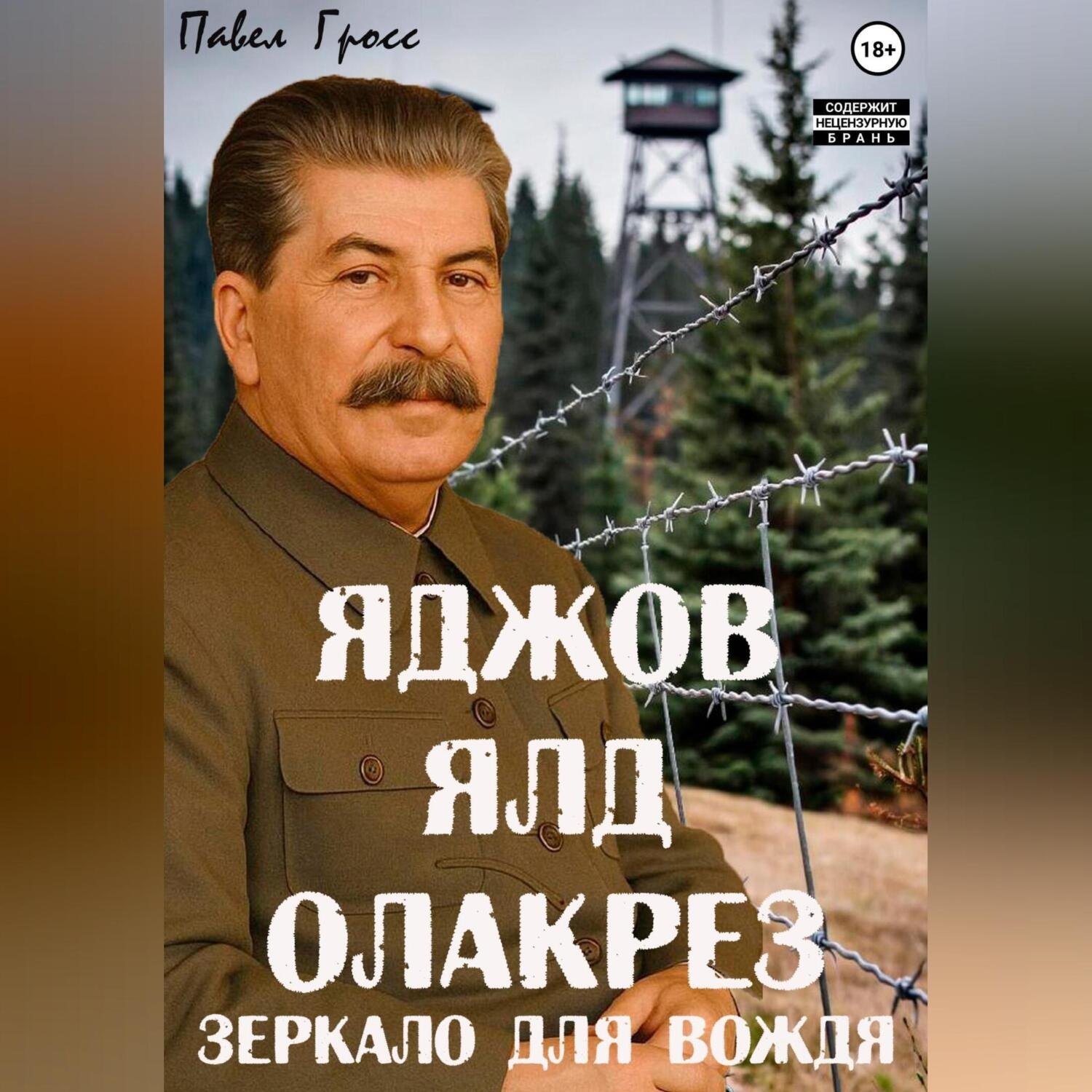 Обложка книги «Яджов ялд олакреЗ (Зеркало для вождЯ)»