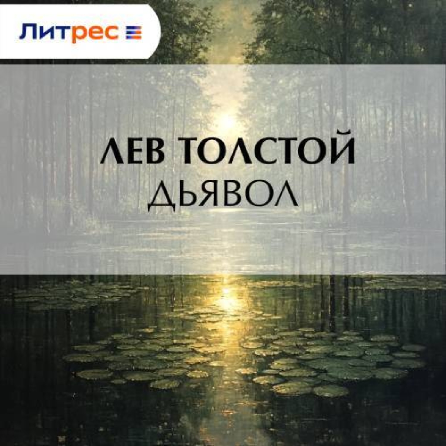 Обложка книги «Дьявол»