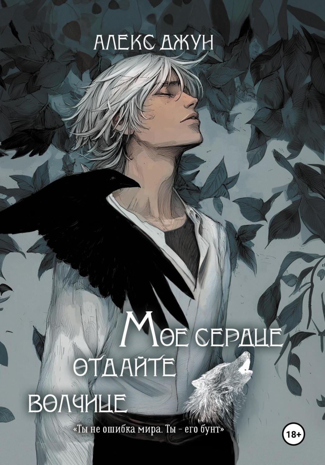 Обложка книги «Мое сердце отдайте волчице»