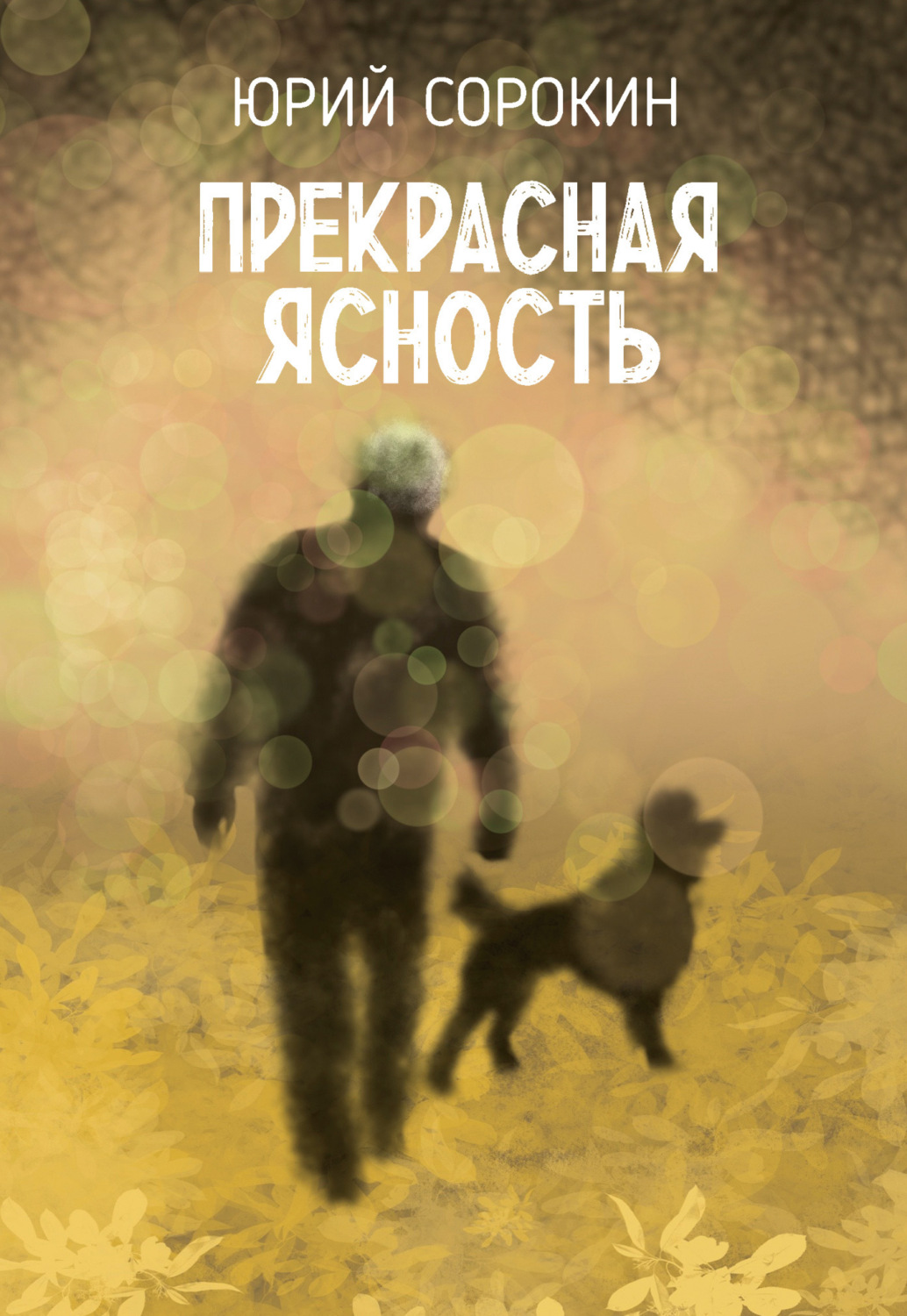 Обложка книги «Прекрасная ясность»