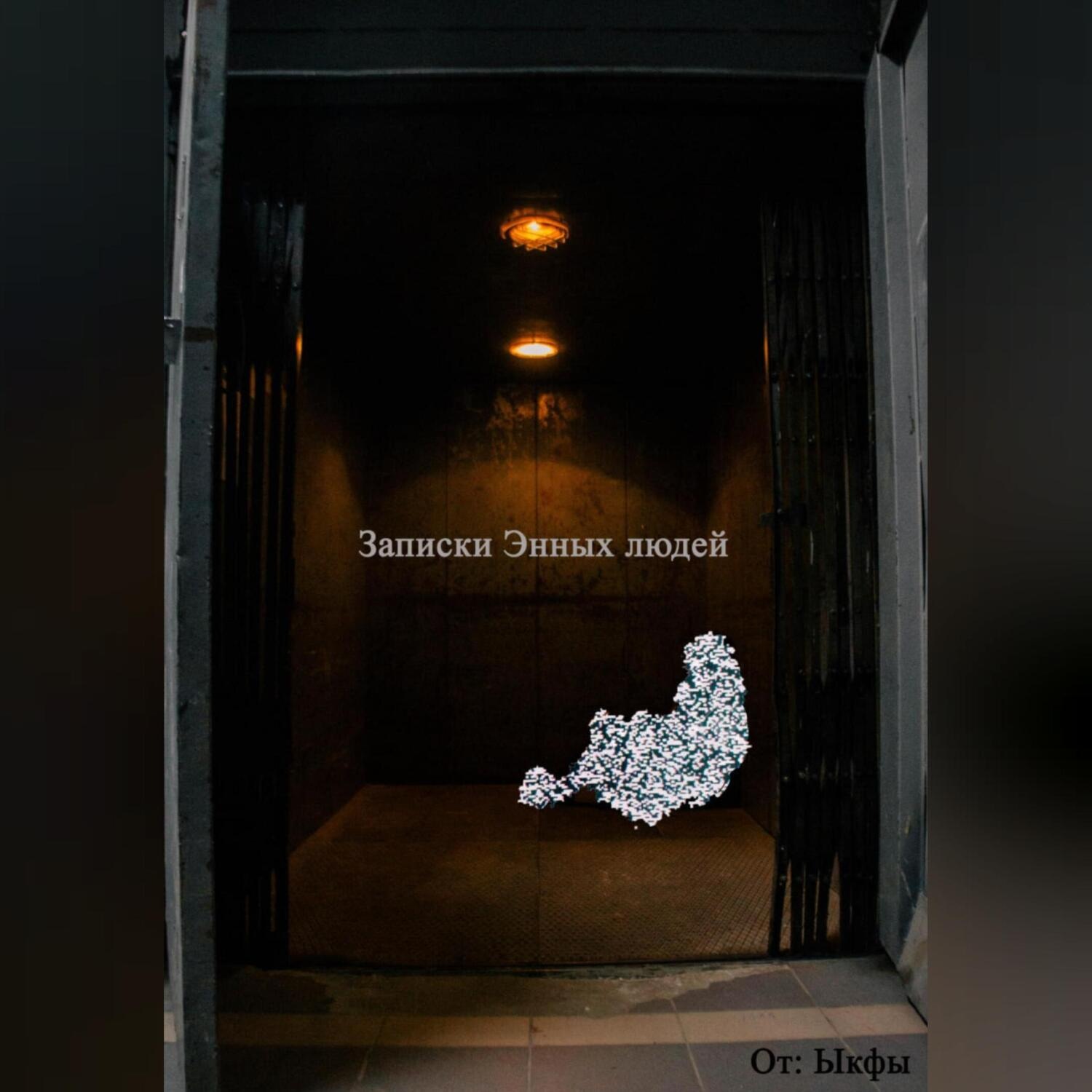 Обложка книги «Записки энных граждан»