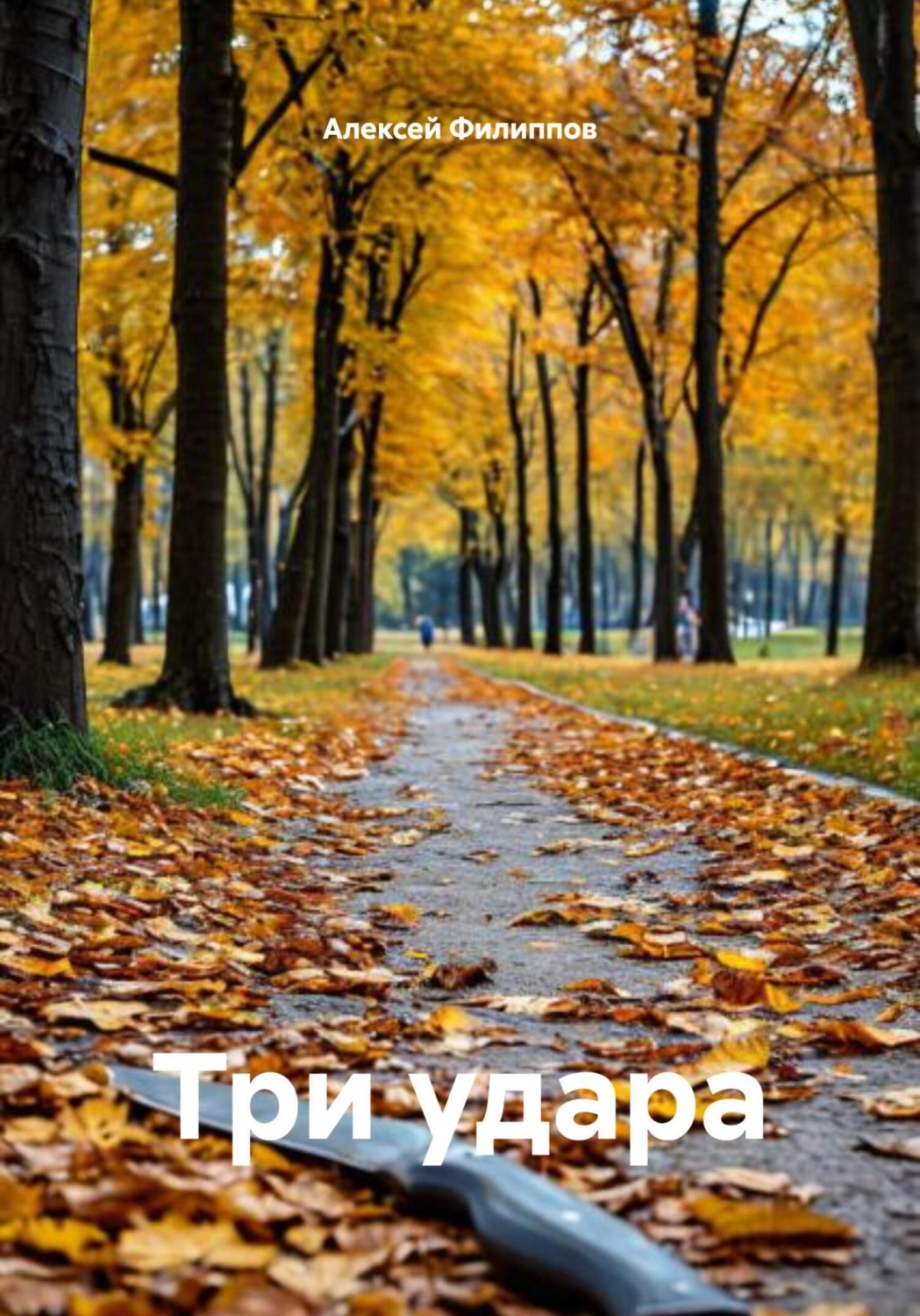 Обложка книги «Три удара»
