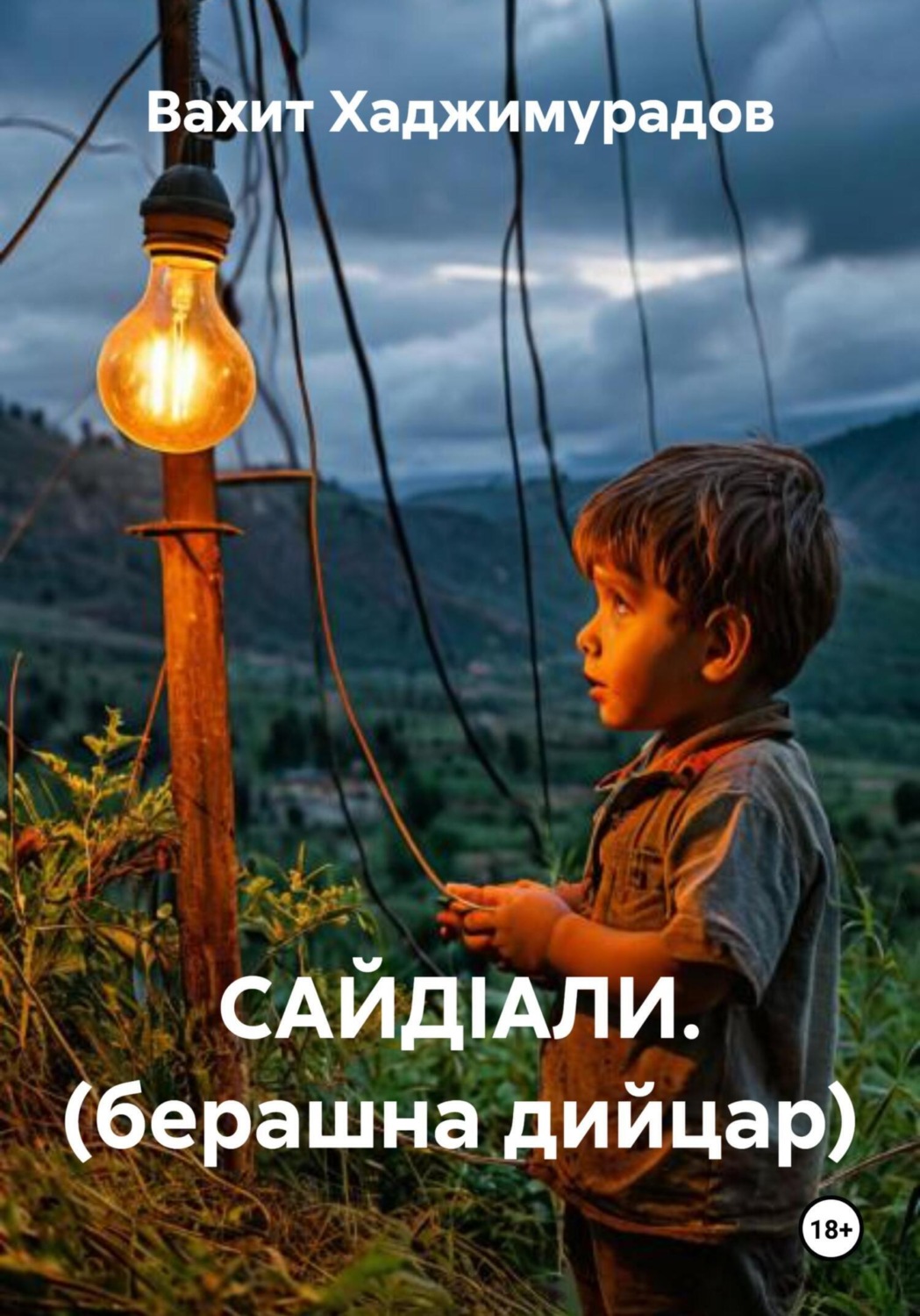 Обложка книги «САЙДIАЛИ. (берашна дийцар)»