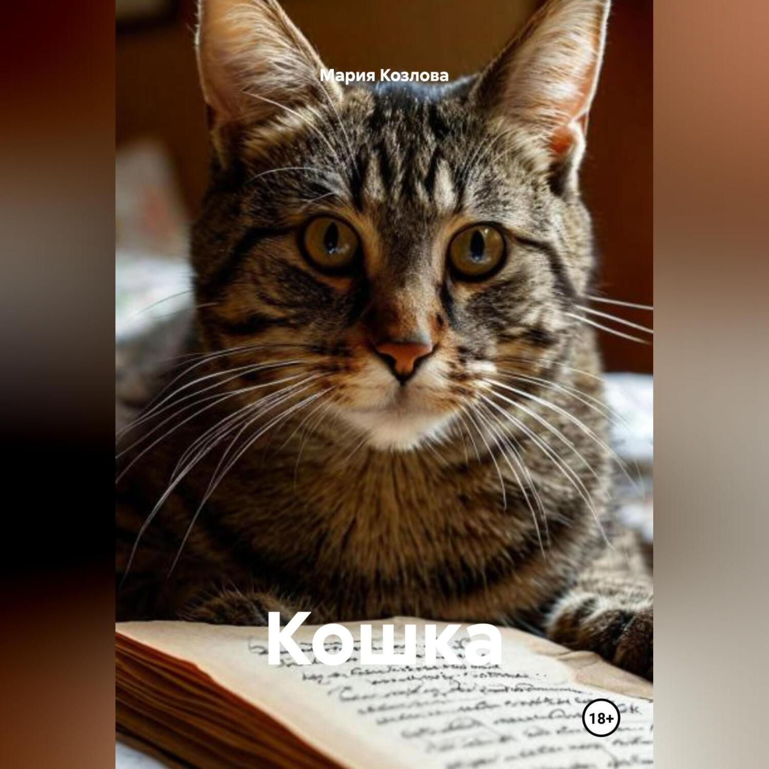 Обложка книги «Кошка»