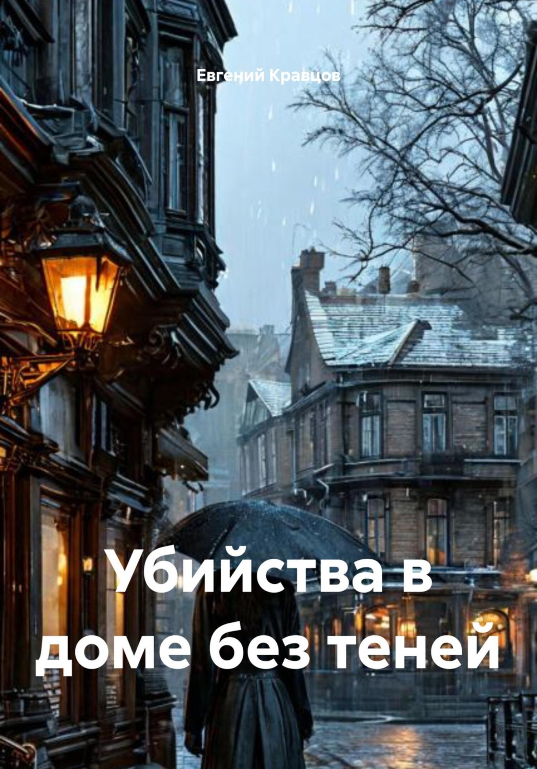 Обложка книги «Убийства в доме без теней»