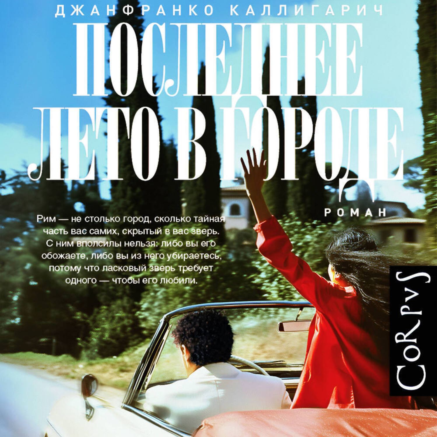 Обложка книги «Последнее лето в городе»
