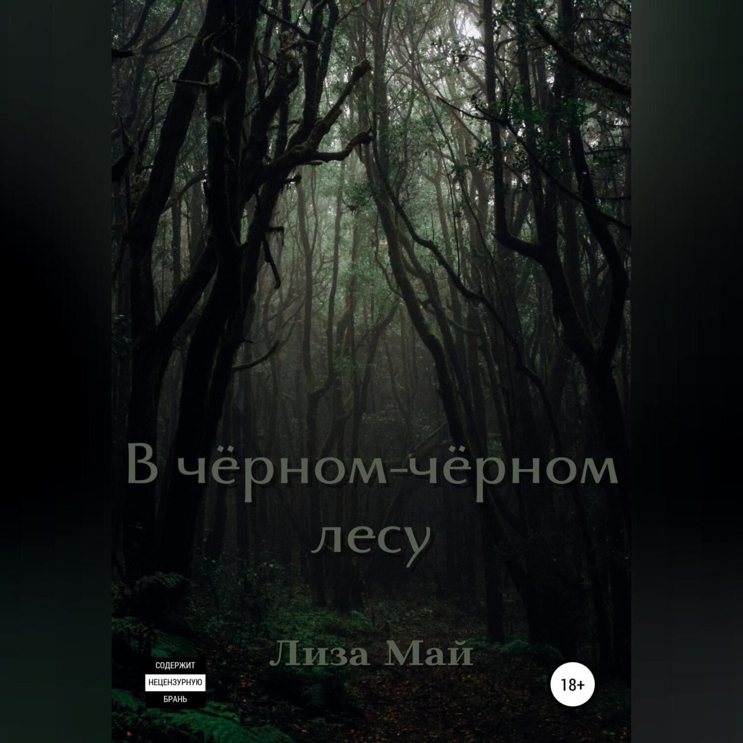 Обложка книги «В чёрном-чёрном лесу»