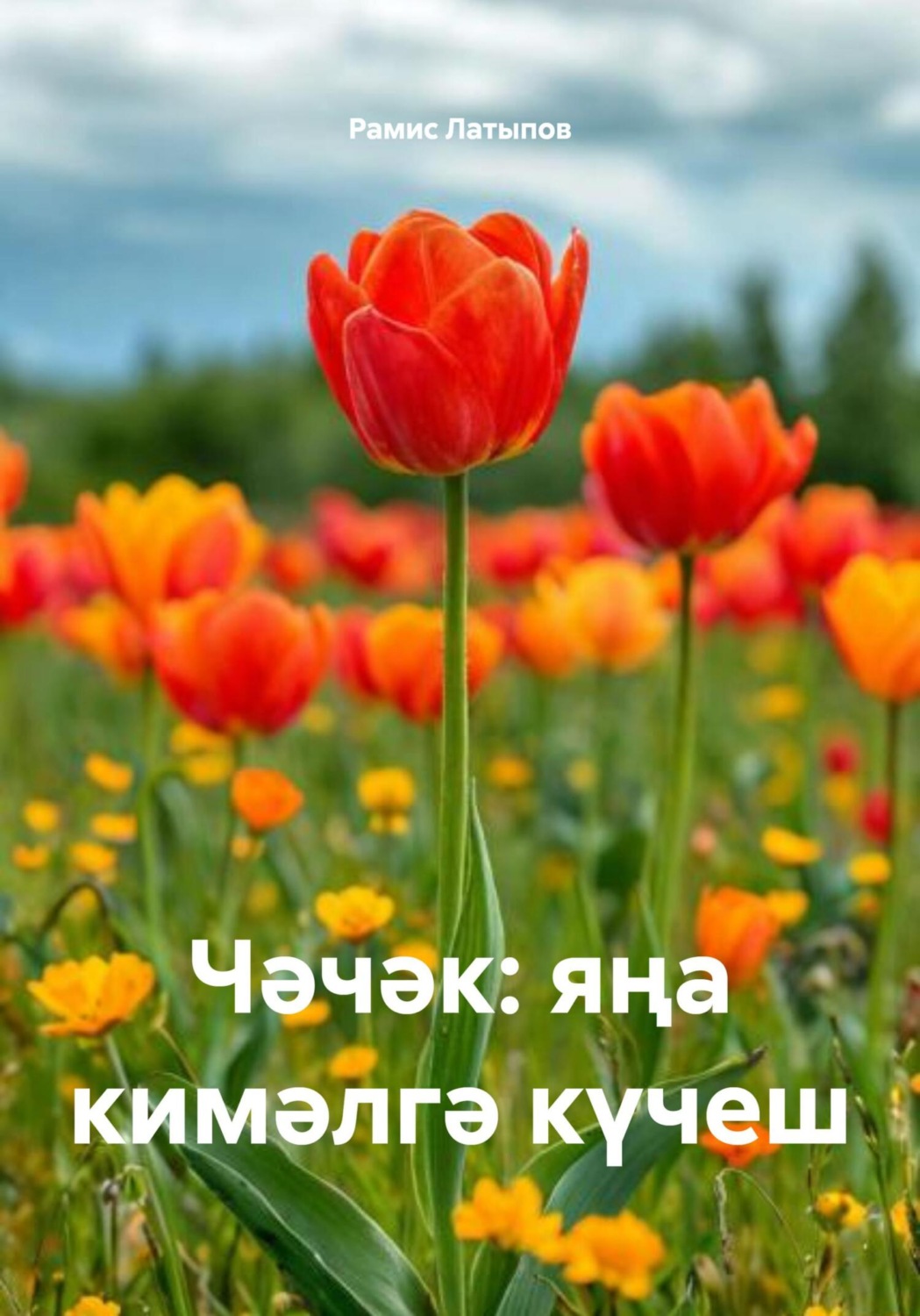 Обложка книги «Чәчәк: яңа кимәлгә күчеш»