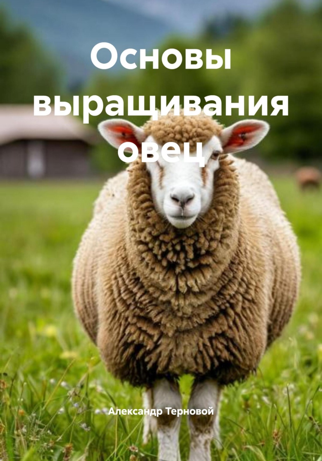 Обложка книги «Основы выращивания овец»