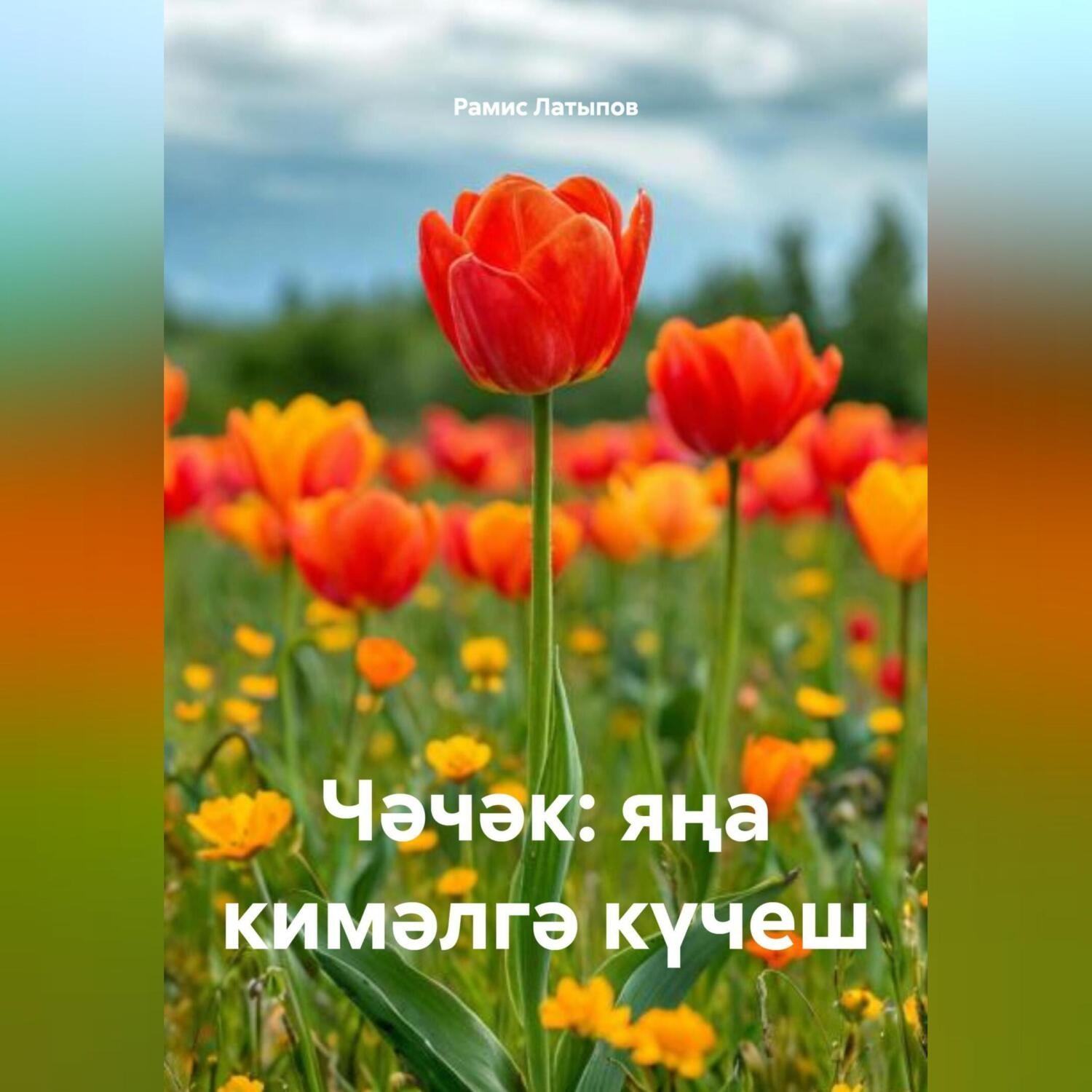 Обложка книги «Чәчәк: яңа кимәлгә күчеш»