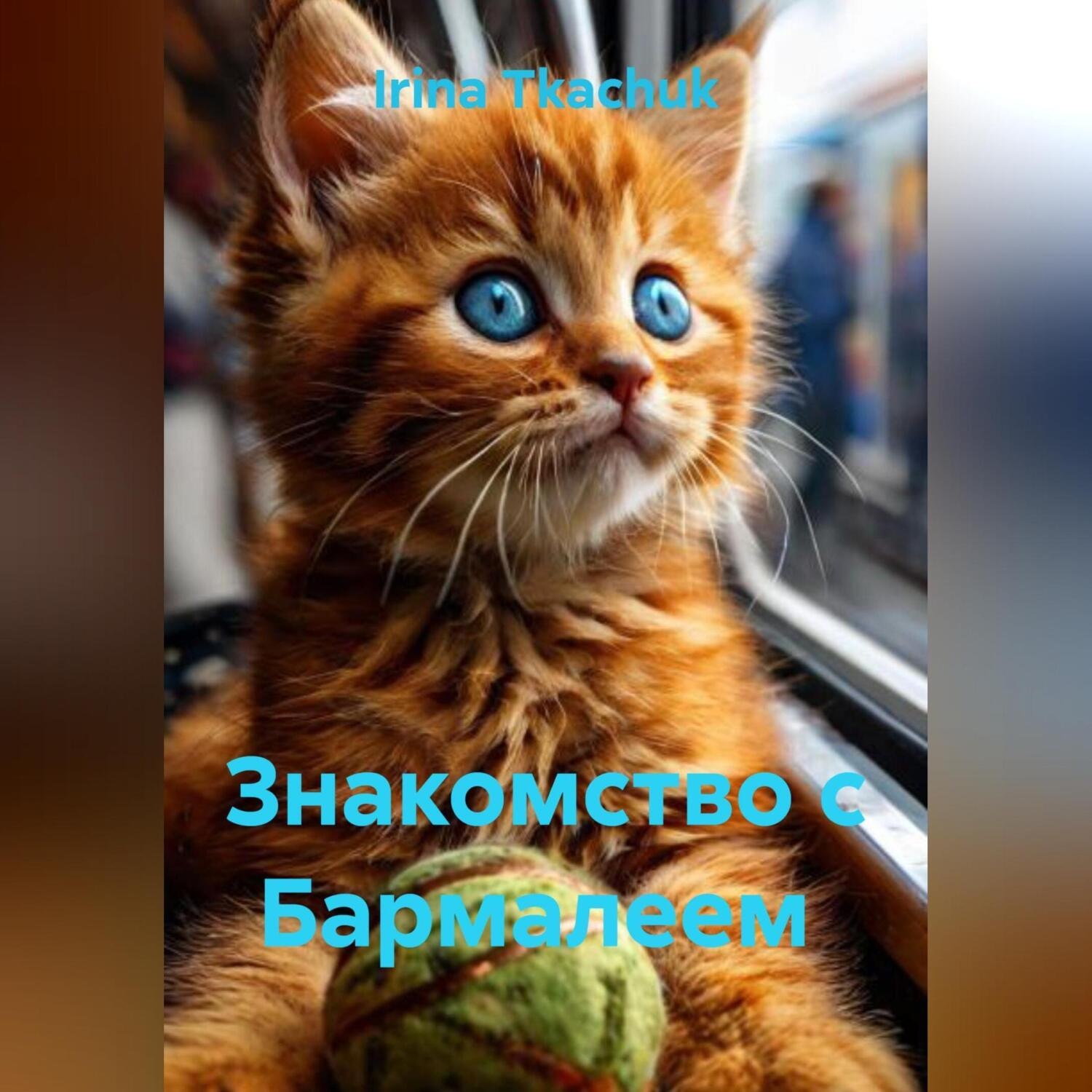 Обложка книги «Знакомство с Бармалеем»