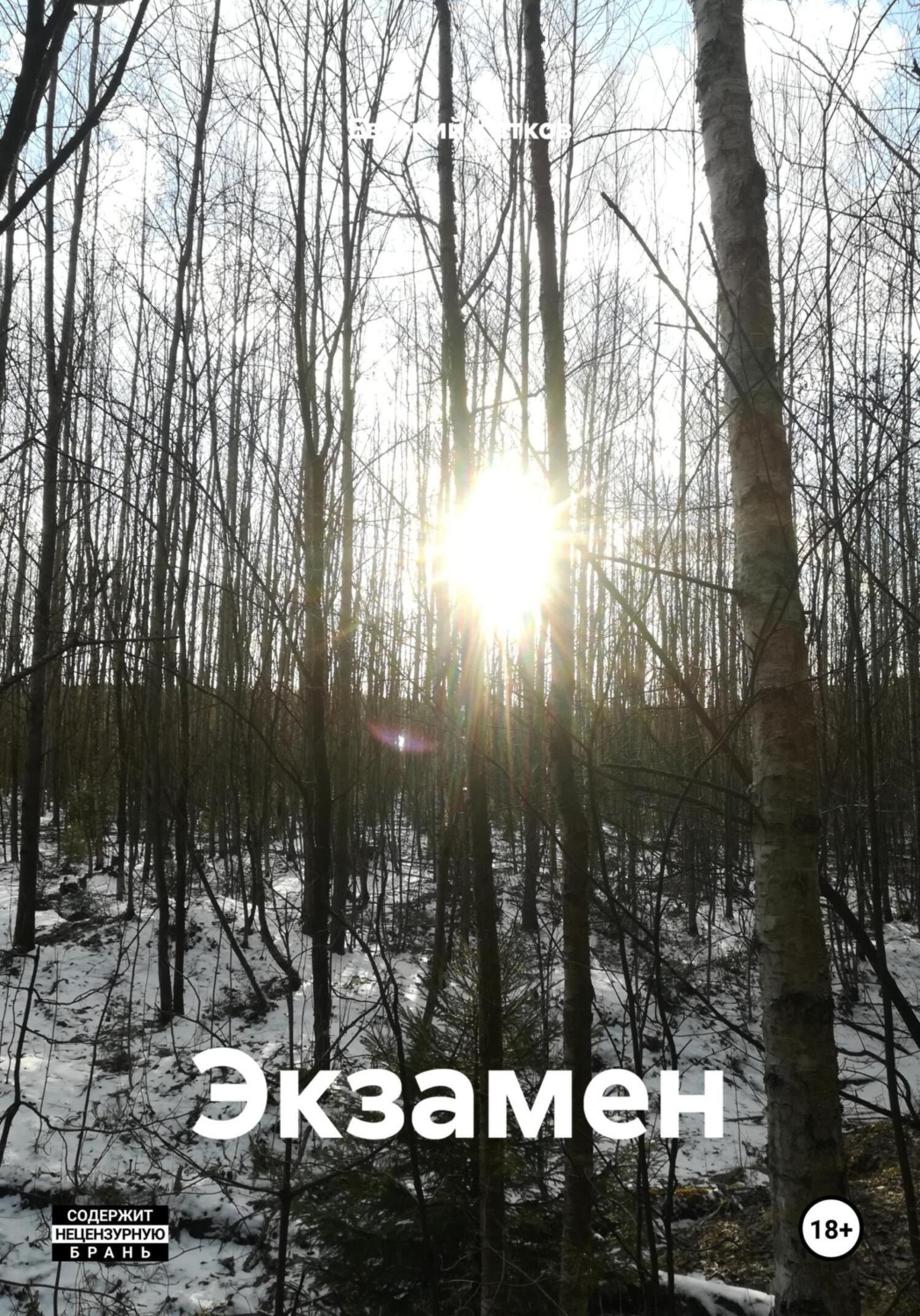 Обложка книги «Экзамен»