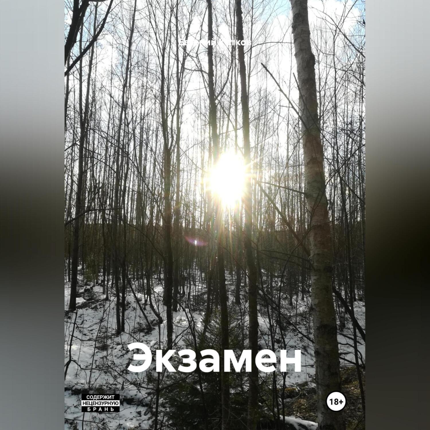 Обложка книги «Экзамен»